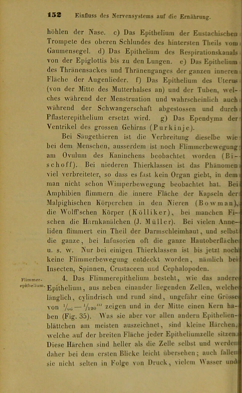 Flimmer' eptthelium. 15S Einfluss des Nervensystems auf die Ernährung. höhlen der Nase, c) Das Epithelium der Eustachischen Trompete des oberen Schlundes des hintersten Tlieils vom i Gaumensegel, d) Das Epithelium des KespiralionskanaJs • von der Epiglottis bis zu den Lungen, e) Das Epithelium des Thränensackes und Thränenganges der ganzen inneren i Flache der Augenlieder, f) Das Epithelium des Uteme ■ (von der Mitte des Mutterhalses an) und der Tuben, wel-■ dies während der Menstruation und wahrscheinlich auch i während der Schwangerschaft abgestossen und durch i Pflasterepitlielium ersetzt wird, g) Das Ependyraa der- Ventrikel des grossen Gehirns (Purkinje). Bei Säugetliieren ist die Verbreitung dieselbe wie bei dem Menschen, ausserdem ist noch Flimmcrbewegung: am Ovulum des Kaninchens beobachtet worden (Bi- sch off). Bei niederen Thierklassen ist das Phänomen, viel verbreiteter, so dass es fast kein Organ giebt, in dem man nicht schon Wimperbewegung beobachtet hat. Bei Amphibien flimmern die innere Fläche der Kapseln der: Malpighischen Körperchen in den Nieren (Bowman), die WolfTschen Körper (Kölliker), bei inanchen Fi- schen die Harnkanälchen (J. Müller). Bei vielen .Anne- liden flimmert ein Theil der Darmschleimhaut, und selbst die ganze, bei Infusorien oft die ganze Hautoberfläche: u. s. w. Nur bei einigen Thierklassen ist bis jetzt nocK keine Flimmerbewegung entdeckt worden, nämlich bei Insecten, Spinnen, Crustaceen und Cephalopodcn. 4. Das Flimmerepithelium besteht, wie das andere Epithelium, aus neben einander liegenden Zellen, welche länglich, cylindrisch und rund sind, ungefähr eine Grösse von — Vi2o' zeigen und in der .Mitte einen Kern ha- ben (Fig. 35). Was sie aber vor allen andern Epithelien- blättchen am meisten auszeichnel, sind kleine Härchen, welche auf der breiten Fläche jeder Epitheliumzclle sitzen. Diese Härchen sind heller als die Zelle selbst und werden daher bei dem ersten Blicke leicht übersehen; auch fallen sie nicht selten in Folge von Druck, vielem Wasser und