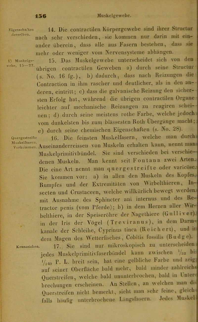 F.lgen^chnrttn 14. Die conlraclilcn Körpergewebe sind ihrer Structur I iierseiben. ycrgdjieden, sic kommen nur darin mit ein- ander überein, dass alle aus Fasern bestehen, dass sie mehr oder weniger vom Nervensysteme abhüngen. 1) Miinkeigc- 15. Das Muskelgewebe unterscheidet sich von den übrigen contractilen Geweben a) durch seine Structur (s. No. 16 fg.), b) dadurch, dass nach Heizungen die Contraction in ihm rascher und deutlicher, als in den an-- deren, eintritt; c) dass die galvanische Beizung den sicher- sten Erfolg hat, w'ährend die übrigen contractilen Organe leichter auf mechanische Reizungen zu reagiren schei-- nen ; d) durch seine meistens rolhe Farbe, welche jedoch vom dunkelsten bis zuni blässesten Roth Übergänge macht; e) durch seine chemischen Eigenschaften (s. No. 28). Quergestreifte jß. Die feinsten Muskelfasern, welche man durch. *vrrko'mme'n. Auseinanderrei^ von Muskeln erhalten kann, nennt man Muskelprimitivbündel. Sie sind verschieden bei verschie- denen Muskeln. Man kennt seit Font an a zwei Arten, Die eine Art nennt mau quergestreifte oder varicose.- Sie kommen vor: a) in allen den Muskeln des Kopfes. Rumpfes und der E.vtremitätcn von M irbelthieren, In- secten und Crustaceen, welche w illkürlich bew egt w crdeai mit Ausnahme des Sphincler ani internus und des Re- tractor penis (vom Pferde); b) in dem Herzen aller ^^ir- bellhiere, in der Speiseröhre der Nagcthiere (Gulliver), in der Iris der Vogel (Treviranus), in dem Darm- kanale der Schlcihe, Cypriuus tinca (Reichert), und ii dem Magen des Wetterfisches, Cobilis fossilis (Budge). Konweichen. 17. Sic siiid iiur mikroskopiscli zu unterscheiden jedes Muskelprimitivfaserbündel kann zwischen ’/sa l'>- i/,4o P. L. breit sein, bat eine gelbliche Farbe und zeig, auf seiner Oberlläche bald mehr, bald minder zahlreiche Querstreifen, welche bald unnnterbiochcn, bald in Unter- brechungen erscheinen. An Stellen, an welchen man di. Quersireifen nicht bemerkt, sicht man sehr feine, gleich falls häufig unterbrochene Langsfasern. Jedes Muskel