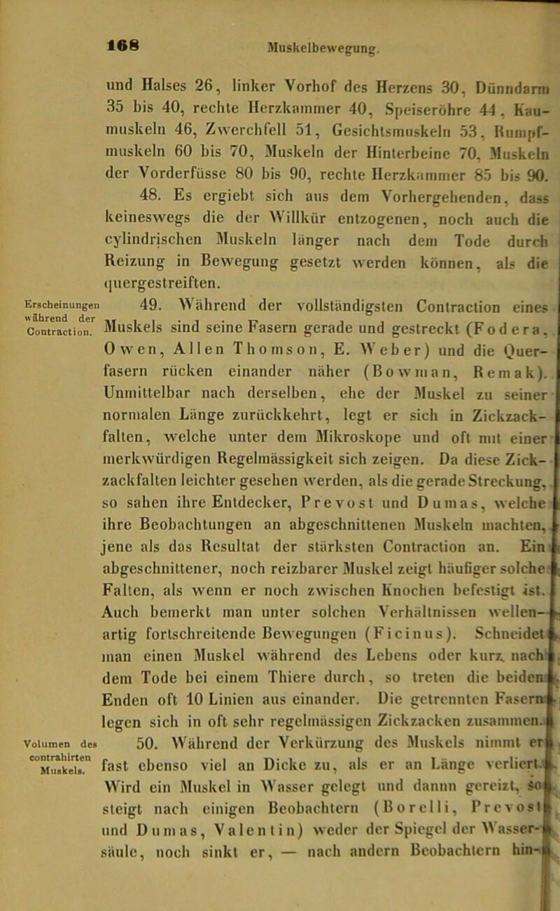 Muskclbewegung, und Halses 26, linker Yorhof des Herzens 30, Dünndarm 35 bis 40, rechte Herzkammer 40, Speiseröhre 44, Kau- inuskeln 46, Zwerchfell 51, Gesichtsmiiskeln 53, Ruinpf- muskeln 60 bis 70, Muskeln der Hinterbeine 70, Muskeln der Vorderfüsse 80 bis 90, rechte Herzkammer 85 bis 90. 48. Es ergiebt sich aus dem Vorhergehenden, dass keineswegs die der Willkür entzogenen, noch auch die cylindrischen Muskeln langer nach dem Tode durch Reizung in Bewegung gesetzt werden können, als die ([uergestreiften. Erscheinungen 49. Während der vollständigsten Contraction eines Con?räction Muskcls sind seine Fascm gerade und gestreckt (Fodera, Owen, Allen Thomson, E. Weher) und die Quer- fasern rücken einander näher (Bowman, Remak).. Unmittelbar nach derselben, ehe der Muskel zu seiner normalen Länge zurückkehrt, legt er sich in Zickzack- falten, welche unter dem Mikroskope und oft mit einer merkwürdigen Regelmässigkeit sich zeigen. Da diese Zick- zackfalten leichter gesehen werden, als die gerade Streckung,. so sahen ihre Entdecker, Prevost und Dumas, welche ihre Beobachtungen an abgeschnittenen Muskeln machten,, jene als das Resultat der stärksten Contraction an. Eini ahgeschnittcner, noch reizbarer Muskel zeigt häufiger solche Falten, als wenn er noch zwischen Knochen befestigt ist. Auch bemerkt man unter solchen Verhältnissen wellen— artig fortschreitende Bewegungen (Ficinus). Schncideti ^ man einen Muskel während des Lehens oder kurz, nach’ dem Tode bei einem Thiere durch, so treten die beideni ^ Enden oft 10 Linien aus einander. Die getrennten Fasern- ■ legen sich in oft sehr regelmässigen Zickzacken zu.sammenj Volumen de> 50. Während der Verkürzung des Muskcls nimmt er i fast ebenso viel an Dicke zu, als er an Länge vcrlierU f. Wird ein Muskel in Wasser gelegt und dannn gereizt, So steigt nach einigen Beobachtern (Borclli, Prevost und Dumas, Valentin) weder der Spiegel der Wasser-6 Säule, noch sinkt er, — nach andern Beobachtern hin-j|