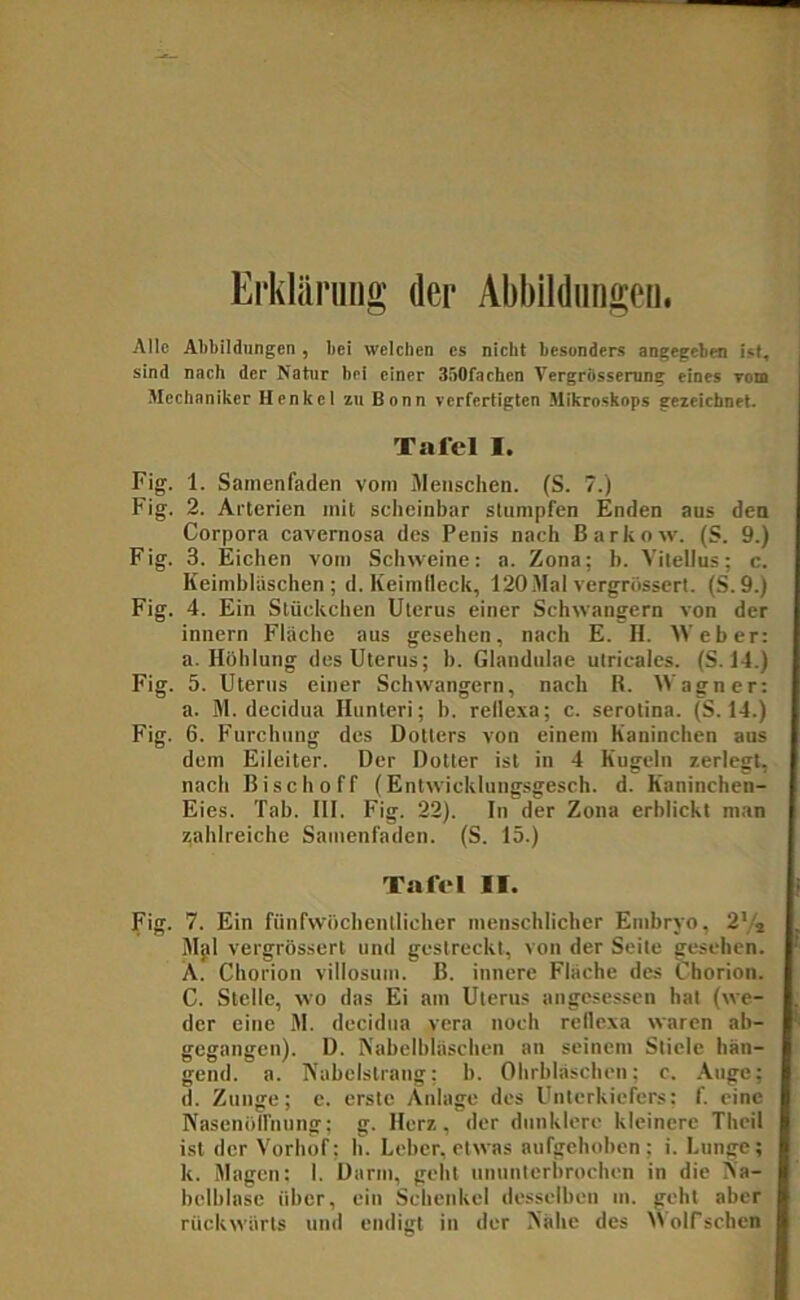 Erkläruno' der Abbildiingeu. Alle Abbildungen , bei welchen cs nicht besonders angegeben ist, sind nach der Natur bei einer 350fachcn Vergrflssemng eines Tom Mechaniker Henkel zu Bonn verfertigten Mikroskops gezeichnet. Tafel I. Fig. 1. Samenfaden vom Menschen. (S. 7.) Fig. 2. Arterien mit scheinbar stumpfen Enden aus den Corpora cavernosa des Penis nach Barkow. (S. 9.) Fig. 3. Eichen vom Schweine: a. Zona; h. A’ilellus; c. Keimbläschen ; d. Keimdeck, 120Mal vergrössert. (S. 9.) Fig. 4. Ein Stückchen Uterus einer Schwängern von der innern Fläche aus gesehen, nach E. H. Weber: a. Höhlung des Uterus; h. Glandulae utricales. (S. 14.) Fig. 5. Uterus einer Schwängern, nach R. Wagner: a. M. decidua Huntcri; h. rellexa; c. serotina. (S. 14.) Fig. 6. Furchung des Dotters von einem Kaninchen aus dem Eileiter. Der Dotter ist in 4 Kugeln zerlegt, nach Bisch off (Entwicklungsgesch. d. Kaninchen- Eies. Tab. III. Fig. 22). In der Zona erblickt man zahlreiche Samenfaden. (S. 15.) Tafel II. Fig. 7. Ein fünfwöchentlicher menschlicher Embryo, 2Vi Mgl vergrössert und gestreckt, von der Seite gesehen. A. Chorion villosum. B. innere Fläche des Chorion. C. Stelle, wo das Ei am Uterus angesessen hat (we- der eine M. decidua vera noch relle.va waren ab- gegangen). D. Nabelbläschen an seinem Stiele hän- gend. a. Nabelstrang: b. Ohrbläschen; c. .\nge; d. Zunge; c. erste Anlage des Unterkiefers: f. eine Nasenölfnung: g. Herz, der dunklere kleinere Theil ist der Vorhof; h. Leber, etwas aufgehoben ; i. Lunge; k. Magen: I. Darm, geht ununterbrochen in die Na- bclblasc über, ein Schenkel desselben m. geht aber rückwärts und endigt in der Nähe des Wolf sehen