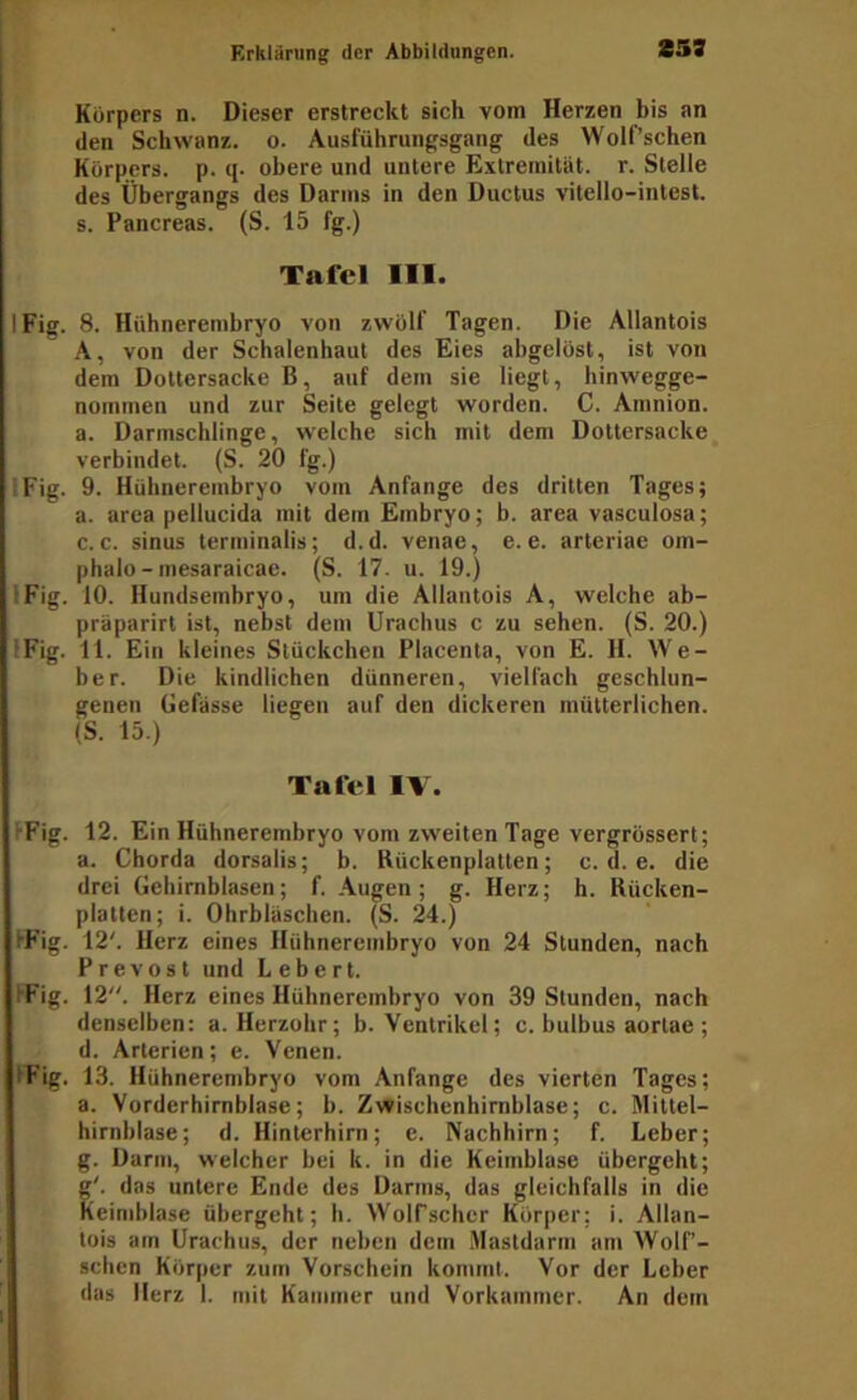 Körpers n. Dieser erstreckt sich vom Herzen bis an den Schwanz, o. Ausführungsgang des Wolf’schen Körpers, p. q. obere und untere Extremität, r. Stelle des Übergangs des Darms in den Ductus vitello-intest. s. Pancreas. (S. 15 fg.) Tafel III. IFig. 8. Hühnerembryo von zwölf Tagen. Die Allantois A, von der Schalenhaut des Eies abgclöst, ist von dem Dottersacke B, auf dem sie liegt, hinwegge- nommen und zur Seite gelegt worden. C. Amnion, a. Darmschlinge, welche sich mit dem Dottersacke verbindet. (S. 20 fg.) IFig. 9. Hühnerembryo vom Anfänge des dritten Tages; a. area pellucida mit dem Embryo; b. area vasculosa; c. c. sinus terminalis; d.d. venae, e. e. arteriae om- phalo-mesaraicae. (S. 17. u. 19.) IFig. 10. Hundsembryo, um die Allantois A, welche ab- präparirt ist, nebst dem Urachus c zu sehen. (S. 20.) IFig. 11. Ein kleines Stückchen Placenta, von E. H. We- ber. Die kindlichen dünneren, vielfach geschlun- genen Gefässe liegen auf den dickeren mütterlichen. IS. 15.) Tafel IV. fFig. 12. Ein Hühnerembryo vom zweiten Tage vergrössert; a. Chorda dorsalis; b. Bückenplatten; c. d. e. die drei Gchimblasen; f. Augen ; g. Herz; h. Rücken- platten; i. Ohrbläschen. (S. 24.) IFig. 12'. Herz eines Hühnerembryo von 24 Stunden, nach Prevost und Lebert. IFig. 12. Herz eines Hühnerembryo von 39 Stunden, nach denselben: a. Herzohr; b. Ventrikel; c. bulbus aortae ; d. Arterien; e. Venen. IFig. 13. Hühnerembryo vom Anfänge des vierten Tages; a. Vorderhimblase; b. Zwischenhirnblase; c. Mittel- hirnblase; d. Hinterhirn; e. Nachhirn; f. Leber; g. Darm, welcher bei k. in die Keimblase übergeht; g'. das untere Ende des Darms, das gleichfalls in die Keimblase übergeht; h. WolTscher Körper; i. Allan- tois am Urachus, der neben dem Mastdarm am Wolf’- schen Körper zum Vorschein kommt. Vor der Leber das Herz 1. mit Kammer und Vorkammer. An dem