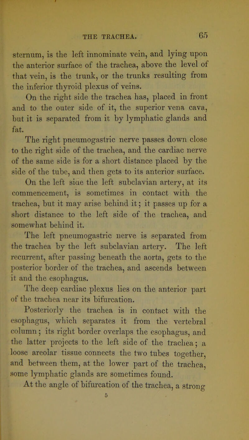 G5 sternum, is the left innominate vein, and lying upon the anterior surface of the trachea, above the level of that vein, is the trunk, or the trunks resulting from the inferior thyroid plexus of veins. On the right side the trachea has, placed in front and to the outer side of it, the superior vena cava, but it is separated from it by lymphatic glands and fat. The right pneumogastric nerve passes down close to the right side of the trachea, and the cardiac nerve of the same side is for a short distance placed by the side of the tube, and then gets to its anterior surface. On the left siue the left subclavian artery, at its commencement, is sometimes in contact with the trachea, but it may arise behind it; it passes up for a short distance to the left side of the trachea, and somewhat behind it. The left pneumogastric nerve is separated from the trachea by the left subclavian artery. The left recurrent, after passing beneath the aorta, gets to the posterior border of the trachea, and ascends between it and the esophagus. The deep cardiac plexus lies on the anterior part of the trachea near its bifurcation. Posteriorly the trachea is in contact with the esophagus, which separates it from the vertebral column; its right border overlaps the esophagus, and the latter projects to the left side of the trachea; a loose areolar tissue connects the two tubes together, and between them, at the lower part of the trachea, some lymphatic glands are sometimes found. At the angle of bifurcation of the trachea, a strong