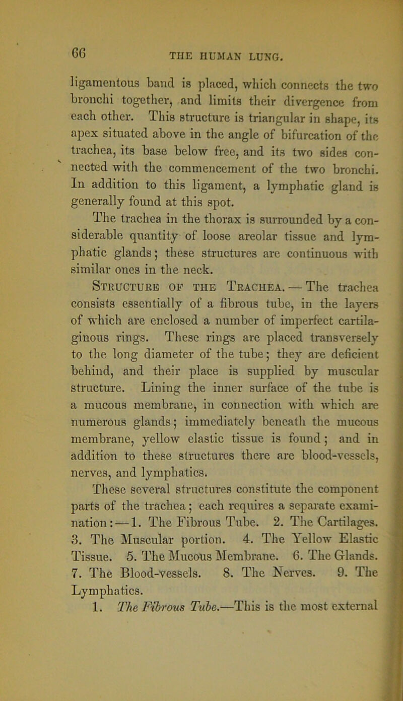 GG ligamentous band is placed, which connects the two bronchi together, and limits their divergence from each other. This structure is triangular in shape, its apex situated above in the angle of bifurcation of the trachea, its base below free, and its two sides con- nected with the commencement of the two bronchi. In addition to this ligament, a lymphatic gland is generally found at this spot. The trachea in the thorax is surrounded by a con- siderable quantity of loose areolar tissue and lym- phatic glands; these structures are continuous with similar ones in the neck. Structure of the Trachea. — The trachea consists essentially of a fibrous tube, in the layers of which are enclosed a number of imperfect cartila- ginous rings. These rings are placed transversely to the long diameter of the tube; they are deficient behind, and their place is supplied by muscular structure. Lining the inner surface of the tube is a mucous membrane, in connection with which are numerous glands; immediately beneath the mucous membrane, yellow elastic tissue is found; and in addition to these structures there are blood-vessels, nerves, and lymphatics. These several structures constitute the component parts of the trachea; each requires a separate exami- nation:—1. The Fibrous Tube. 2. The Cartilages. 3. The Muscular portion. 4. The Yellow Elastic Tissue. 5. The Mucous Membrane. 6. The Glands. 7. The Blood-vessels. 8. The Nerves. 9. The Lymphatics. 1. The Fibrous Tube.—This is the most external