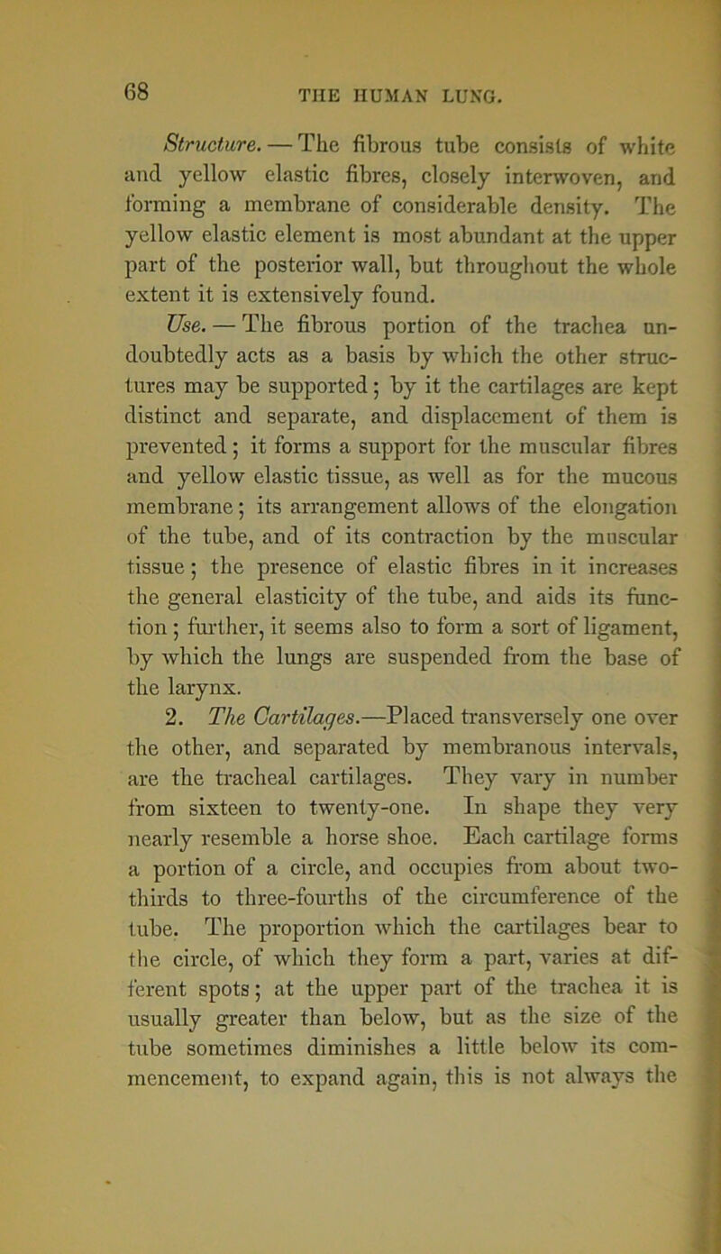 Structure. — The fibrous tube consists of white and yellow elastic fibres, closely interwoven, and forming a membrane of considerable density. The yellow elastic element is most abundant at the upper part of the posterior wall, but throughout the whole extent it is extensively found. Use. — The fibrous portion of the trachea un- doubtedly acts as a basis by which the other struc- tures may be supported; by it the cartilages are kept distinct and separate, and displacement of them is prevented; it forms a support for the muscular fibres and yellow elastic tissue, as well as for the mucous membrane; its arrangement allows of the elongation of the tube, and of its contraction by the muscular tissue; the presence of elastic fibres in it increases the general elasticity of the tube, and aids its func- tion ; further, it seems also to form a sort of ligament, by which the lungs are suspended from the base of the larynx. 2. The Cartilages.—Placed transversely one over the other, and separated by membranous intervals, are the tracheal cartilages. They vary in number from sixteen to twenty-one. In shape they very nearly resemble a horse shoe. Each cartilage forms a portion of a circle, and occupies from about two- thirds to three-fourths of the circumference of the tube. The proportion which the cartilages bear to the circle, of which they form a part, varies at dif- ferent spots; at the upper part of the trachea it is usually greater than below, but as the size of the tube sometimes diminishes a little below its com- mencement, to expand again, this is not always the