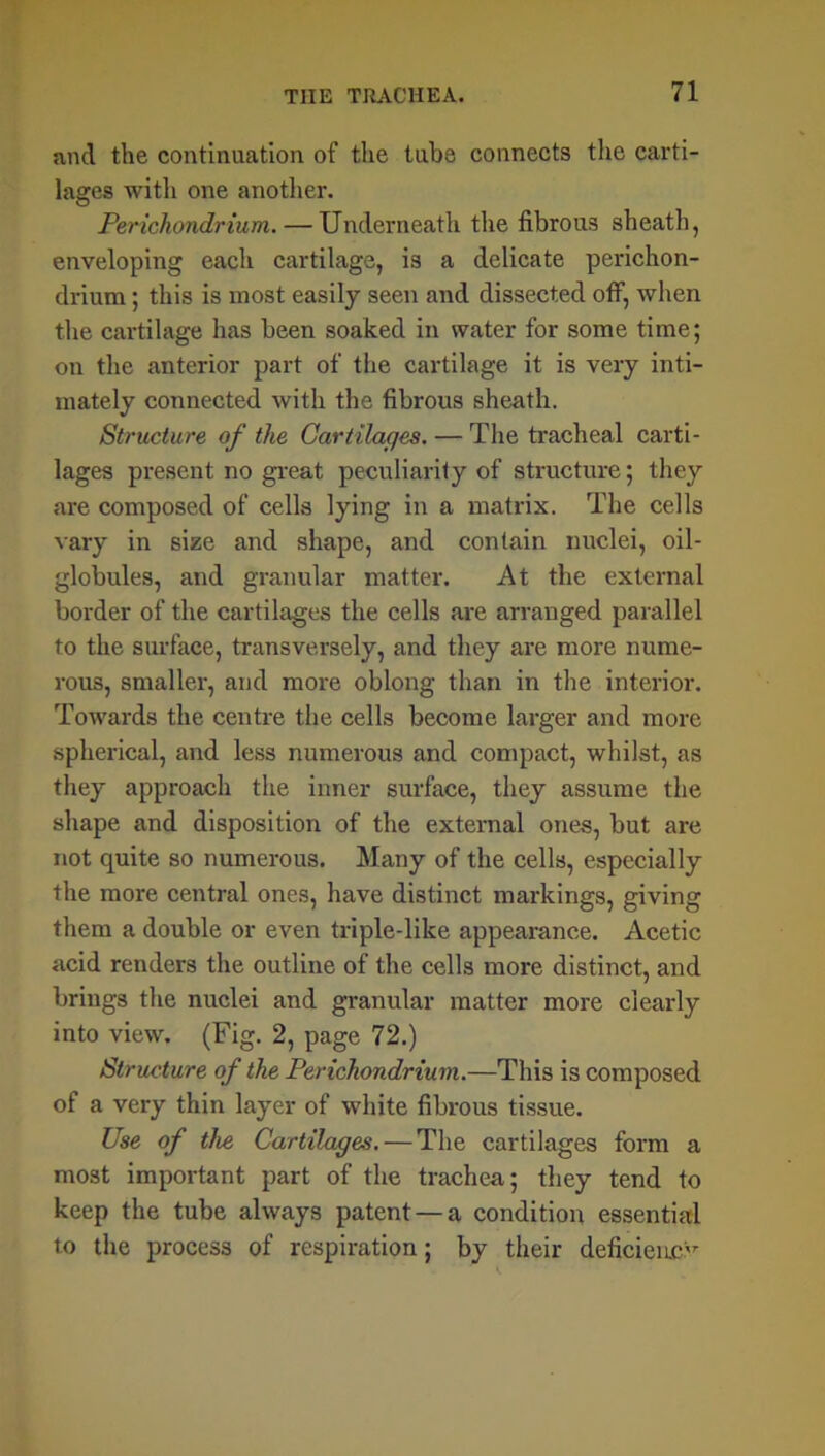 and the continuation of the tuba connects the carti- lages with one another. Perichondrium. — Underneath the fibrous sheath, enveloping each cartilage, is a delicate perichon- drium ; this is most easily seen and dissected off, when the cartilage has been soaked in water for some time; on the anterior part of the cartilage it is very inti- mately connected with the fibrous sheath. Structure of the Cartilages. — The tracheal carti- lages present no great peculiarity of structure; they are composed of cells lying in a matrix. The cells vary in size and shape, and contain nuclei, oil- globules, and granular matter. At the external border of the cartilages the cells are arranged parallel to the surface, transversely, and they are more nume- rous, smaller, and more oblong than in the interior. Towards the centre the cells become larger and more spherical, and less numerous and compact, whilst, as they approach the inner surface, they assume the shape and disposition of the external ones, but are not quite so numerous. Many of the cells, especially the more central ones, have distinct markings, giving them a double or even triple-like appearance. Acetic acid renders the outline of the cells more distinct, and brings the nuclei and granular matter more clearly into view. (Fig. 2, page 72.) Structure of the Perichondrium.—This is composed of a very thin layer of white fibrous tissue. Use of the Cartilages. — The cartilages form a most important part of the trachea; they tend to keep the tube always patent — a condition essential to the process of respiration; by their deficiency