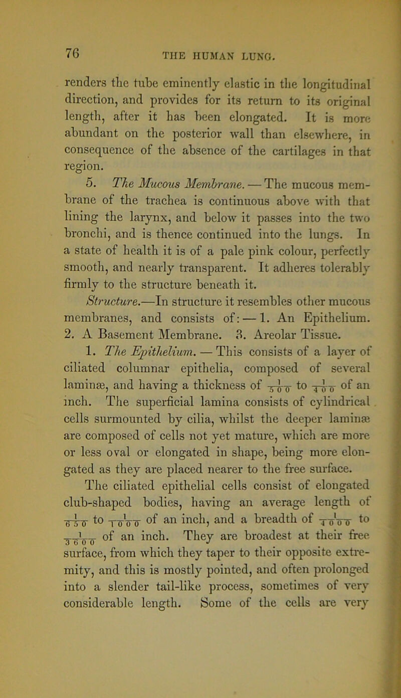 renders the tube eminently elastic in the longitudinal direction, and provides for its return to its original length, after it has been elongated. It is more abundant on the posterior wall than elsewhere, iri consequence of the absence of the cartilages in that region. 5. The Mucous Membrane. — The mucous mem- brane of the trachea is continuous above with that lining the larynx, and below it passes into the two bronchi, and is thence continued into the lungs. In a state of health it is of a pale pink colour, perfectly smooth, and nearly transparent. It adheres tolerably firmly to the structure beneath it. Structure.—In structure it resembles other mucous membranes, and consists of: — 1. An Epithelium. 2. A Basement Membrane. 3. Areolar Tissue. 1. The Epithelium. — This consists of a layer of ciliated columnar epithelia, composed of several laminje, and having a thickness of to of an inch. The superficial lamina consists of cylindrical cells surmounted by cilia, whilst the deeper lamina; are composed of cells not yet mature, which are more or less oval or elongated in shape, being more elon- gated as they are placed nearer to the free surface. The ciliated epithelial cells consist of elongated club-shaped bodies, having an average length of -g-j-jr to ToVir °f an inch, and a breadth of ToV<r to i-gljJ of an inch. They are broadest at their free surface, from which they taper to their opposite extre- mity, and this is mostly pointed, and often prolonged into a slender tail-like process, sometimes of very considerable length. Some of the cells are very