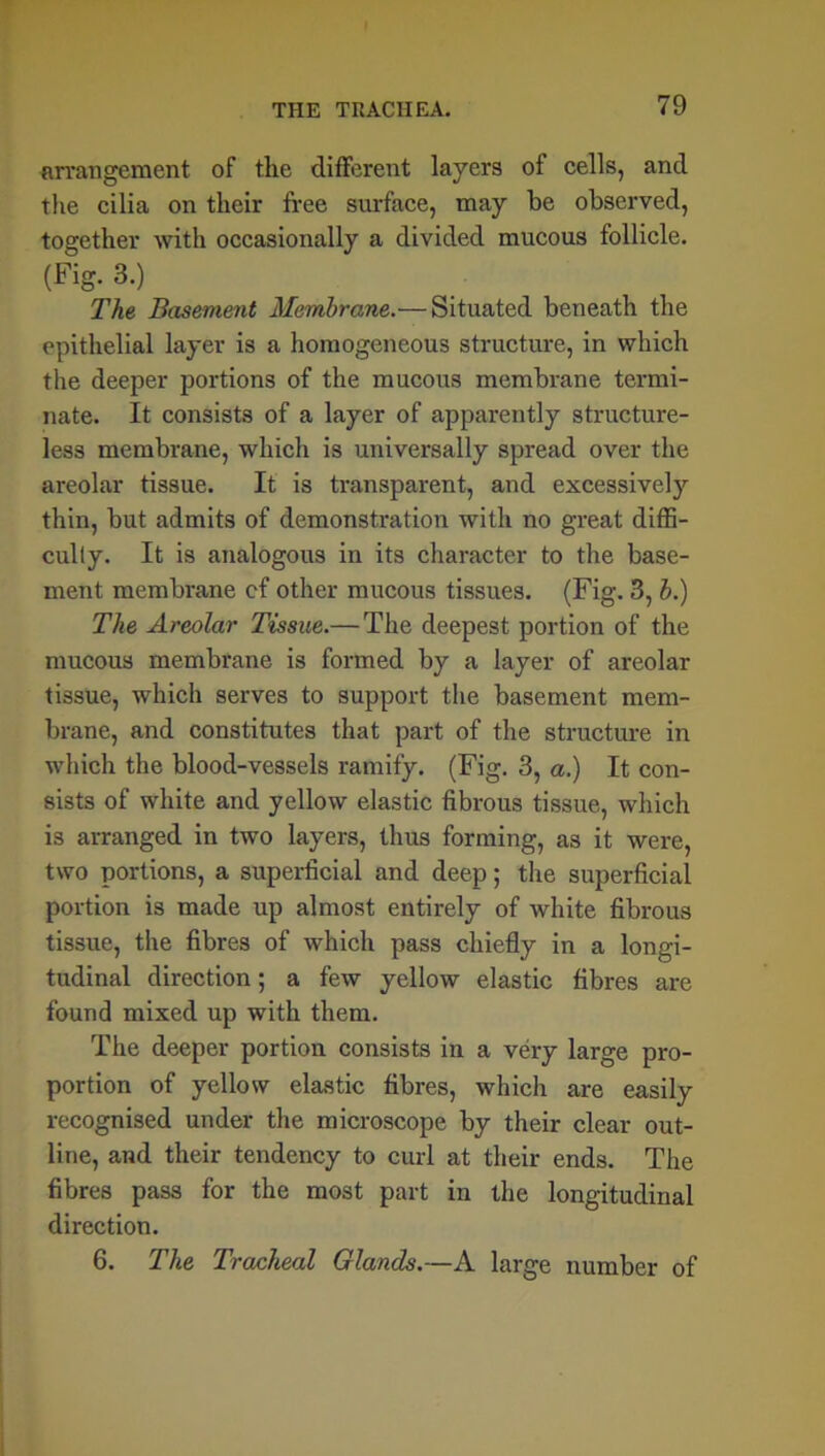 arrangement of the different layers of cells, and the cilia on their free surface, may be observed, together with occasionally a divided mucous follicle. (Fig. 3.) The Basement Membrane.— Situated beneath the epithelial layer is a homogeneous structure, in which the deeper portions of the mucous membrane termi- nate. It consists of a layer of apparently structure- less membrane, which is universally spread over the areolar tissue. It is transparent, and excessively thin, but admits of demonstration with no great diffi- culty. It is analogous in its character to the base- ment membrane cf other mucous tissues. (Fig. 3, b.) The Areolar Tissue.— The deepest portion of the mucous membrane is formed by a layer of areolar tissue, which serves to support the basement mem- brane, and constitutes that part of the structure in which the blood-vessels ramify. (Fig. 3, a.) It con- sists of white and yellow elastic fibrous tissue, which is arranged in two layers, thus forming, as it were, two portions, a superficial and deep; the superficial portion is made up almost entirely of white fibrous tissue, the fibres of which pass chiefly in a longi- tudinal direction; a few yellow elastic fibres are found mixed up with them. The deeper portion consists in a very large pro- portion of yellow elastic fibres, which are easily recognised under the microscope by their clear out- line, and their tendency to curl at their ends. The fibres pass for the most part in the longitudinal direction. 6. The Tracheal Glands.—A large number of