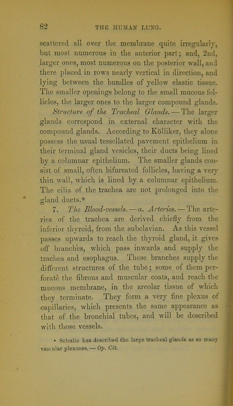 scattered all over the membrane quite irregularly, but most numerous in the anterior part; arid, 2nd, larger ones, most numerous on the posterior wall, and there placed in rows nearly vertical in direction, and lying between the bundles of yellow elastic tissue. The smaller openings belong to the small mucous fol- licles, the larger ones to the larger compound glands. Structure of the Tracheal Glands. — The larger glands correspond in external character with the compound glands. According to Kolliker, they alone possess the usual tessellated pavement epithelium in their terminal gland vesicles, their ducts being lined by a columnar epithelium. The smaller glands con- sist of small, often bifurcated follicles, having a very thin Avail, which is lined by a columnar epithelium. The cilia of the trachea are not prolonged into the gland ducts.* 7. The Blood-vessels.—a. Arteries. — The arte- ries of the trachea are derived chiefly from the inferior thvroid, from the subclavian. As this vessel passes upwards to reach the thyroid gland, it gives off branches, which pass inwards and supply the trachea and esophagus. These branches supply the different structures of the tube; some of them per- forate the fibrous and muscular coats, and reach the mucous membrane, in the areolar tissue of which they terminate. They form a very fine plexus of capillaries, which presents the same appearance as that of the bronchial tubes, and will be described Avit.h those vessels. * Schultz has described the large tracheal glands as so many vascular plexuses. — Op. Cit.