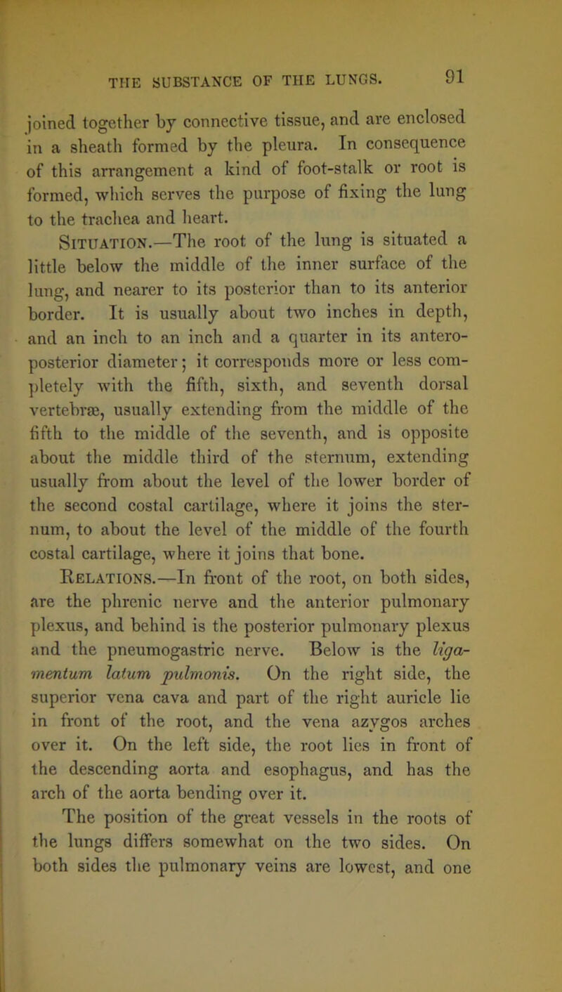 joined together by connective tissue, and are enclosed in a sheath formed by the pleura. In consequence of this arrangement a kind of foot-stalk or root is formed, which serves the purpose of fixing the lung to the trachea and heart. Situation.—The root of the lung is situated a little below the middle of the inner surface of the lung, and nearer to its posterior than to its anterior border. It is usually about two inches in depth, and an inch to an inch and a quarter in its antero- posterior diameter; it corresponds more or less com- pletely with the fifth, sixth, and seventh dorsal vertebrae, usually extending from the middle of the fifth to the middle of the seventh, and is opposite about the middle third of the sternum, extending usually from about the level of the lower border of the second costal cartilage, where it joins the ster- num, to about the level of the. middle of the fourth costal cartilage, where it joins that bone. Relations.—In front of the root, on both sides, are the phrenic nerve and the anterior pulmonary plexus, and behind is the posterior pulmonary plexus and the pneumogastric nerve. Below is the liga- ment um latum pulmonis. On the right side, the superior vena cava and part of the right auricle lie in front of the root, and the vena azygos arches over it. On the left side, the root lies in front of the descending aorta and esophagus, and has the arch of the aorta bending over it. The position of the great vessels in the roots of the lungs differs somewhat on the two sides. On both sides the pulmonary veins are lowest, and one