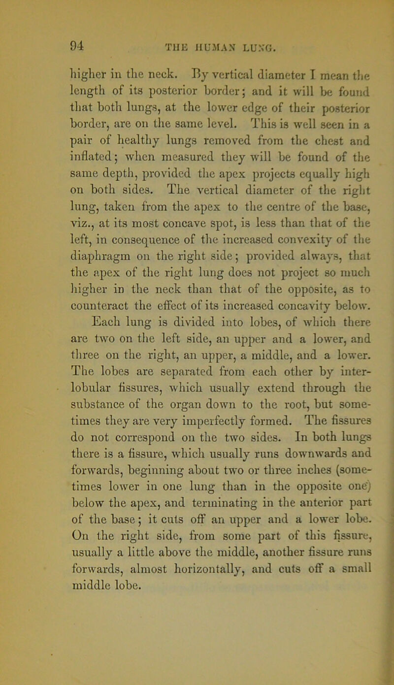 higher in the neck. By vertical diameter I mean the length of its posterior border; and it will be found that both lungs, at the lower edge of their posterior border, are on the same level. This i3 well seen in a pair of healthy lungs removed from the chest and inflated; when measured they will be found of the same depth, provided the apex projects equally high on both sides. The vertical diameter of the right lung, taken from the apex to the centre of the base, viz., at its most concave spot, is less than that of the left, in consequence of the increased convexity of the diaphragm on the right side; provided always, that the apex of the right lung does not project so much higher in the neck than that of the opposite, as to counteract the effect of its increased concavity below. Each lung is divided into lobes, of which there are two on the left side, an upper and a lower, and three on the right, an upper, a middle, and a lower. The lobes are separated from each other by inter- lobular Assures, which usually extend through the substance of the organ down to the root, but some- times they are very imperfectly formed. The fissures do not correspond on the two sides. In both lungs there is a fissure, which usually runs downwards and forwards, beginning about two or three inches (some- times lower in one lung than in the opposite one') below the apex, and terminating in the anterior part of the base; it cuts off an upper and a lower lobe. On the right side, from some part of this fissure, usually a little above the middle, another fissure runs forwards, almost horizontally, and cuts off a small middle lobe.