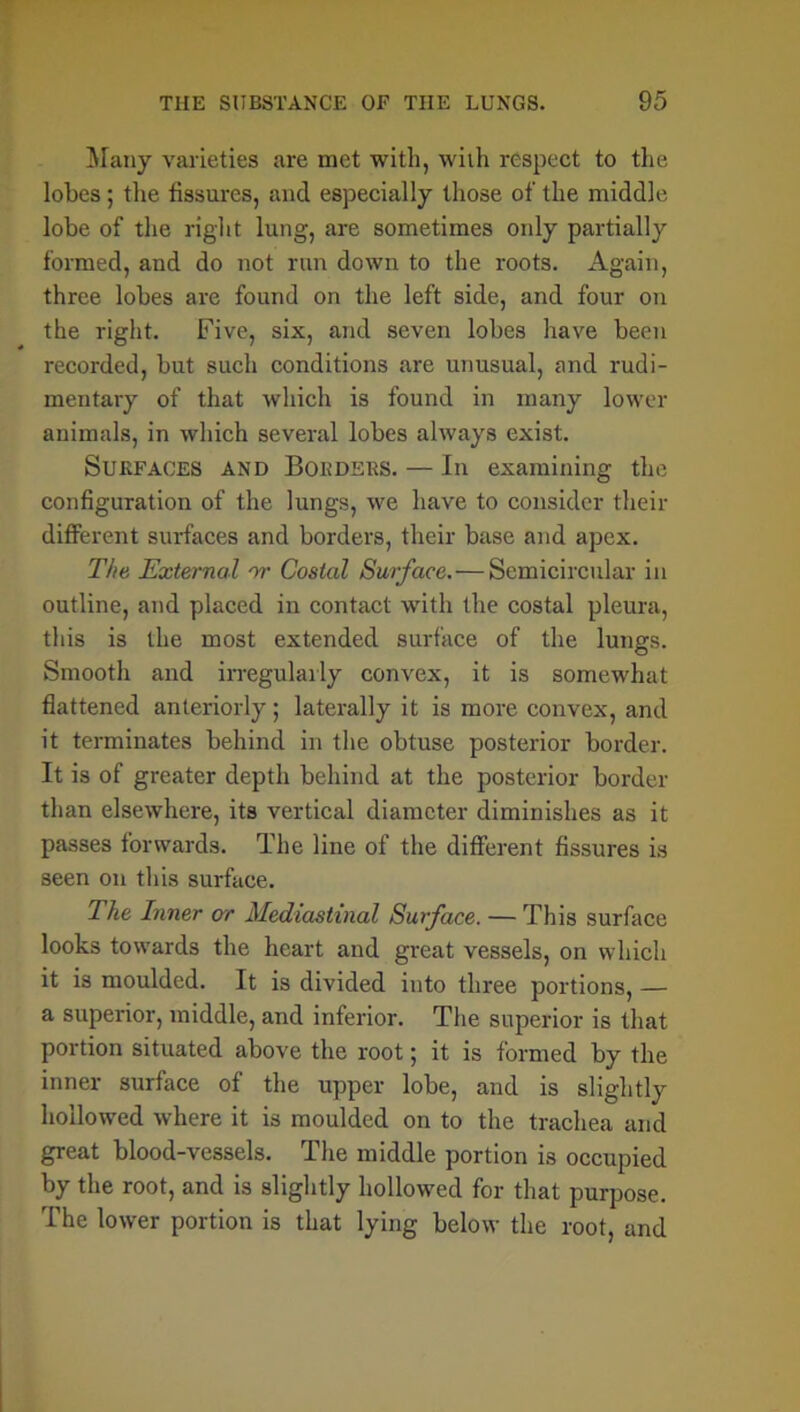 Many varieties are met with, with respect to the lobes ; the fissures, and especially those of the middle lobe of the right lung, are sometimes only partially formed, and do not run down to the roots. Again, three lobes are found on the left side, and four on the right. Five, six, and seven lobes have been recorded, but such conditions are unusual, and rudi- mentary of that which is found in many lower animals, in which several lobes always exist. Surfaces and Borders. — In examining the configuration of the lungs, we have to consider their different surfaces and borders, their base and apex. The External or Costal Surface.—Semicircular in outline, and placed in contact with the costal pleura, this is the most extended surface of the lungs. Smooth and irregularly convex, it is somewhat flattened anteriorly; laterally it is more convex, and it terminates behind in the obtuse posterior border. It is of greater depth behind at the posterior border than elsewhere, its vertical diameter diminishes as it passes forwards. The line of the different fissures is seen on this surface. The Inner or Mediastinal Surface. — This surface looks towards the heart and gi-eat vessels, on which it is moulded. It is divided into three portions, — a superior, middle, and inferior. The superior is that portion situated above the root; it is formed by the inner surface of the upper lobe, and is slightly hollowed where it is moulded on to the trachea and great blood-vessels. The middle portion is occupied by the root, and is slightly hollowed for that purpose. The lower portion is that lying below the root, and