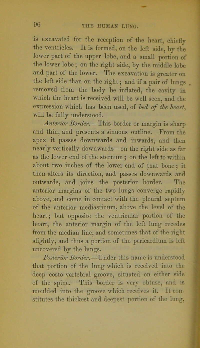 9G is excavated for the reception of the heart, chiefly the ventricles. It is formed, on the left side, by the lower part of the upper lobe, and a small portion of the lower lobe; on the right side, by the middle lobe and part of the lower. The excavation is greater on the left side than on the right; and if a pair of lungs removed from the body be inflated, the cavity in which the heart is received will be well seen, and the expression which has been used, of bed of the heart, will be fully understood. Anterior Border.—This border or margin is sharp and thin, and presents a sinuous outline. From the apex it passes downwards and inwards, and then nearly vertically downwards—on the right side as far as the lower end of the sternum ; on the left to within about two inches of the lower end of that bone; it then alters its direction, and passes downwards and outwards, and joins the posterior border. The anterior margins of the two lungs converge rapidly above, and come in contact with the pleural septum of the anterior mediastinum, above the level of the heart; but opposite the ventricular portion of the heart, the anterior margin of the left lung recedes from the median line, and sometimes that of the right slightly, and thus a portion of the pericardium is left uncovered by the lungs. Posterior Border.—Under this name is understood that portion of the lung which is received into the deep costo-vertebral groove, situated on either side of the spine. This border is very obtuse, and is moulded into the groove which receives it. It con- stitutes the thickest and deepest portion of the lung,