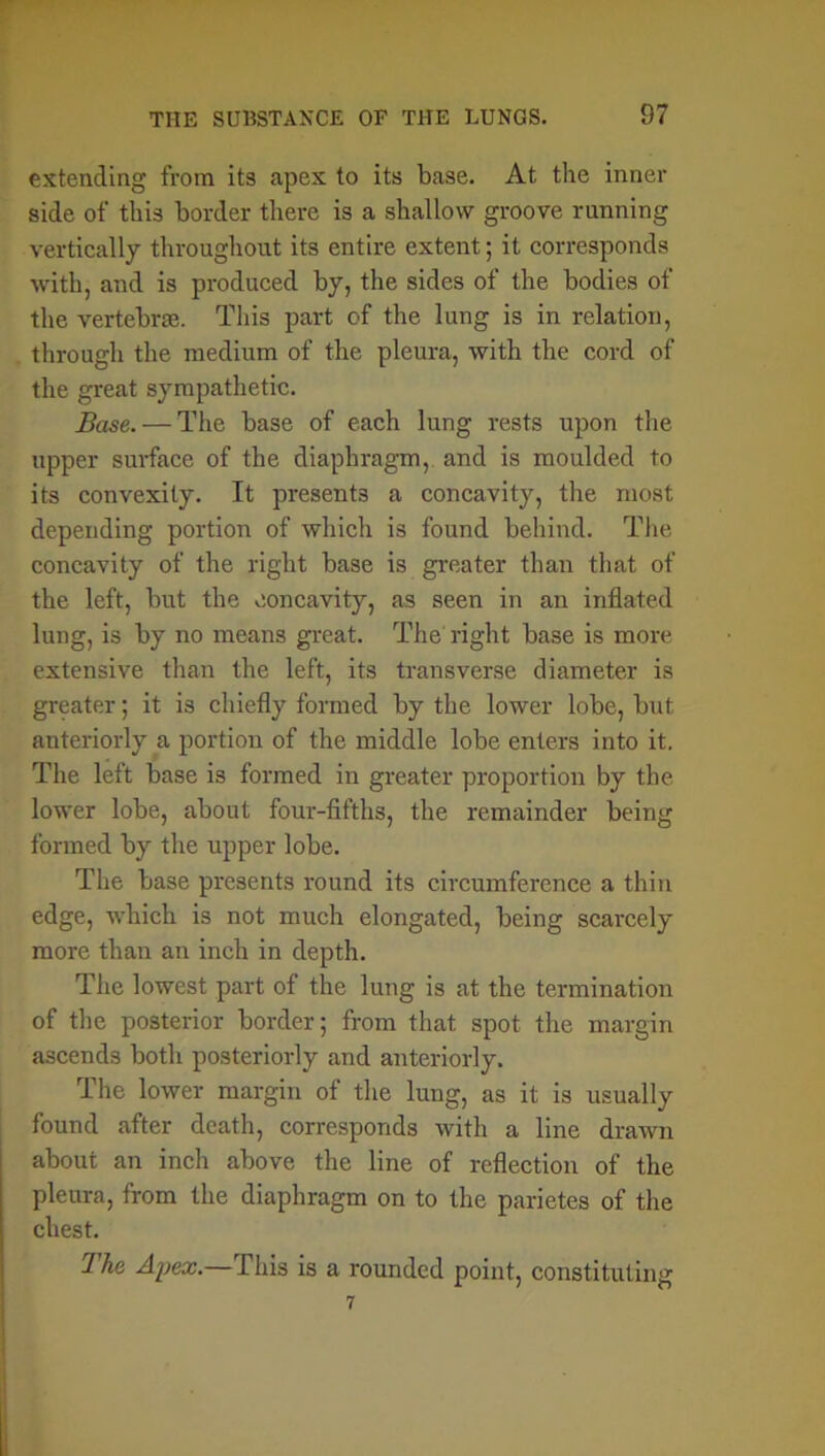 extending from its apex to its base. At the inner side of this border there is a shallow groove running vertically throughout its entire extent; it corresponds with, and is produced by, the sides of the bodies of the vertebra. This part of the lung is in relation, through the medium of the pleura, with the cord of the great sympathetic. Base. — The base of each lung rests upon the upper surface of the diaphragm, and is moulded to its convexity. It presents a concavity, the most depending portion of which is found behind. The concavity of the right base is greater than that of the left, but the concavity, as seen in an inflated lung, is by no means great. The right base is more extensive than the left, its transverse diameter is greater; it is chiefly formed by the lower lobe, but anteriorly a portion of the middle lobe enters into it. The left base is formed in greater proportion by the lower lobe, about four-fifths, the remainder being formed by the upper lobe. The base presents round its circumference a thin edge, which is not much elongated, being scarcely more than an inch in depth. The lowest part of the lung is at the termination of the posterior border; from that spot the margin ascends both posteriorly and anteriorly. The lower margin of the lung, as it is usually found after death, corresponds with a line drawn about an inch above the line of reflection of the pleura, from the diaphragm on to the parietes of the chest. The Apex.—This is a rounded point, constituting 7