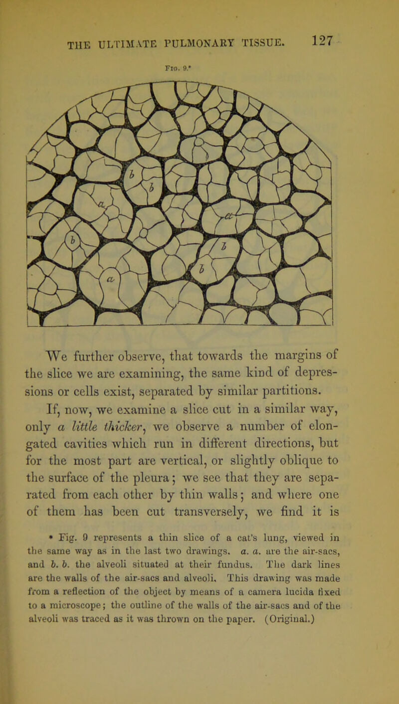 Flo. 9.' We further observe, that towards the margins of the slice we are examining, the same kind of depres- sions or cells exist, separated by similar partitions. If, now, we examine a slice cut in a similar way, only a little thicker, we observe a number of elon- gated cavities which run in different directions, but for the most part are vertical, or slightly oblique to the surface of the pleura; we see that they are sepa- rated from each other by thin walls; and where one of them has been cut transversely, we find it is » Fig. 9 represents a thin slice of a cat’s lung, viewed in the same way as in the last two drawings, a. a. are the air-sacs, and b. b. the alveoli situated at their fundus. The dark lines are the walls of the air-sacs and alveoli. This drawing was made from a reflection of the object by means of a camera lucida fixed to a microscope; the outline of the walls of the air-sacs and of the alveoli was traced as it was thrown on the paper. (Original.)