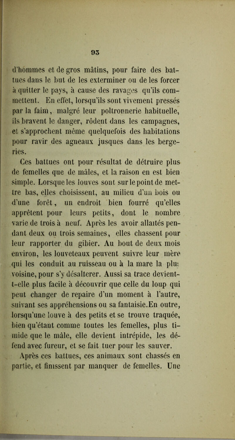 d’hommes et de gros mâtins, pour faire des bat- tues dans le but de les exterminer ou de les forcer à quitter le pays, à cause des ravages qu’ils com- mettent. En effet, lorsqu’ils sont vivement pressés par la faim, malgré leur poltronnerie habituelle, ils bravent le danger, rôdent dans les campagnes, et s’approchent même quelquefois des habitations pour ravir des agneaux jusques dans les berge- ries. Ces battues ont pour résultat de détruire plus de femelles que de mâles, et la raison en est bien simple. Lorsque les louves sont sur le point de met- tre bas, elles choisissent, au milieu d’un bois ou d’une forêt, un endroit bien fourré qu’elles apprêtent pour leurs petits, dont le nombre varie de trois à neuf. Après les avoir allaités pen- dant deux ou trois semaines, elles chassent pour leur rapporter du gibier. Au bout de deux mois environ, les louveteaux peuvent suivre leur mère qui les conduit au ruisseau ou à la mare la plut voisine, pour s’y désaltérer. Aussi sa trace devient- t-elle plus facile à découvrir que celle du loup qui peut changer de repaire d’un moment à l’autre, suivant ses appréhensions ou sa fantaisie.En outre, lorsqu’une louve à des petits et se trouve traquée, bien qu’étant comme toutes les femelles, plus ti- mide que le mâle, elle devient intrépide, les dé- fend avec fureur, et se fait tuer pour les sauver. Après ces battues, ces animaux sont chassés en partie, et finissent par manquer de femelles. Une