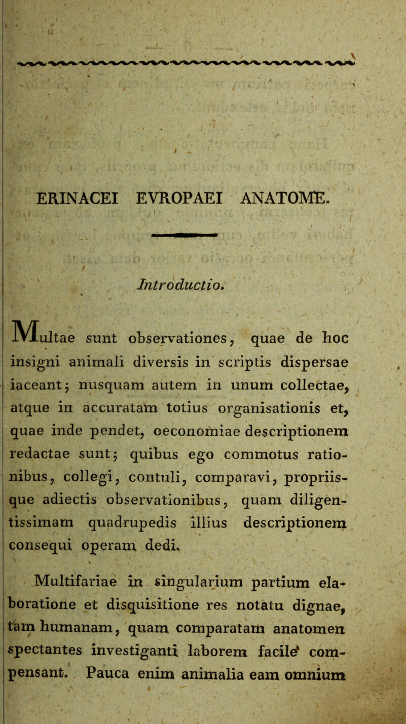 ERINACEI EVROPAEI ANATOME. insigni animali diversis in. scriptis dispersae iaceant; nusquam autem in unum collectae, atque in accuratam totius organisationis et, quae inde pendet, oeconomiae descriptionem redactae sunt; quibus ego commotus ratio- nibus, collegi, contuli, comparavi, propriis- que adiectis observationibus, quam diligen- tissimam quadrupedis illius descriptionem consequi operam dedi. Multifariae in singularium partium ela- boratione et disquisitione res notatu dignae, tam humanam, quam comparatam anatomen spectantes investiganti laborem facile* com- pensant. Pauca enim animalia eam omnium Introductio, sunt observationes, quae de hoc