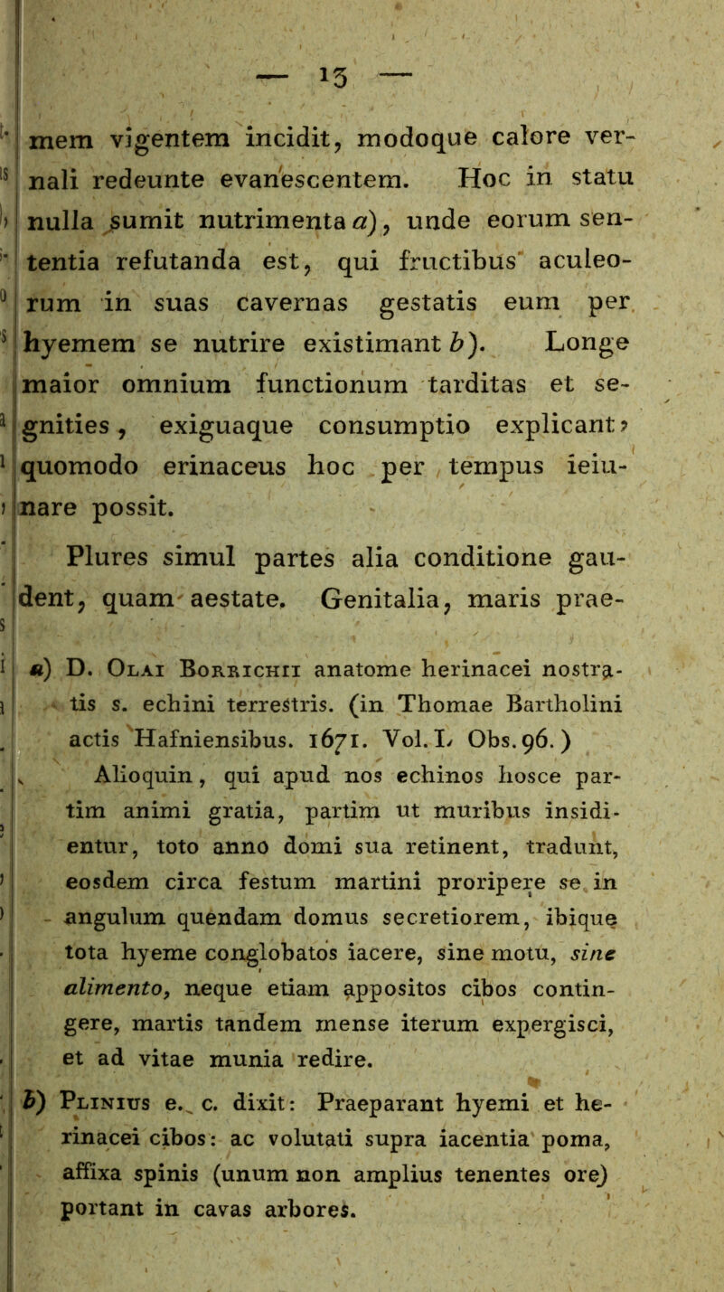 ’ mem vigentem incidit, modoque calore ver- 15 nali redeunte evanescentem. Hoc in statu ) nulla sumit nutrimenta a), unde eorum sen- ' tentia refutanda est, qui fructibus aculeo- J [ rum in suas cavernas gestatis eum per ^hyemem se nutrire existimanti). Longe maior omnium functionum tarditas et se- a gnities, exiguaque consumptio explicant? 1 quomodo erinaceus hoc per tempus ieiu- ) nare possit. Plures simul partes alia conditione gau- dent, quam aestate. Genitalia, maris prae- is i «) i D. Olai Borrichii anatome herinacei nostra- tis s. echini terrestris, (in Thomae Bartholini actis Hafniensibus. 1671. Vol. L Obs.96.) Alioquin, qui apud nos echinos hosce par- tim animi gratia, partim ttt muribus insidi- entur, toto anno domi sua retinent, tradunt, eosdem circa festum martini proripere se in angulum quendam domus secretiorem, ibique tota hyeme conglobatos iacere, sine motu, sine alimento, neque etiam appositos cibos contin- gere, martis tandem mense iterum expergisci, et ad vitae munia redire. b) Plinius e. c. dixit: Praeparant hyemi et he- rinacei cibos: ac volutati supra iacentia poma, affixa spinis (unum non amplius tenentes ore) portant in cavas arbores.
