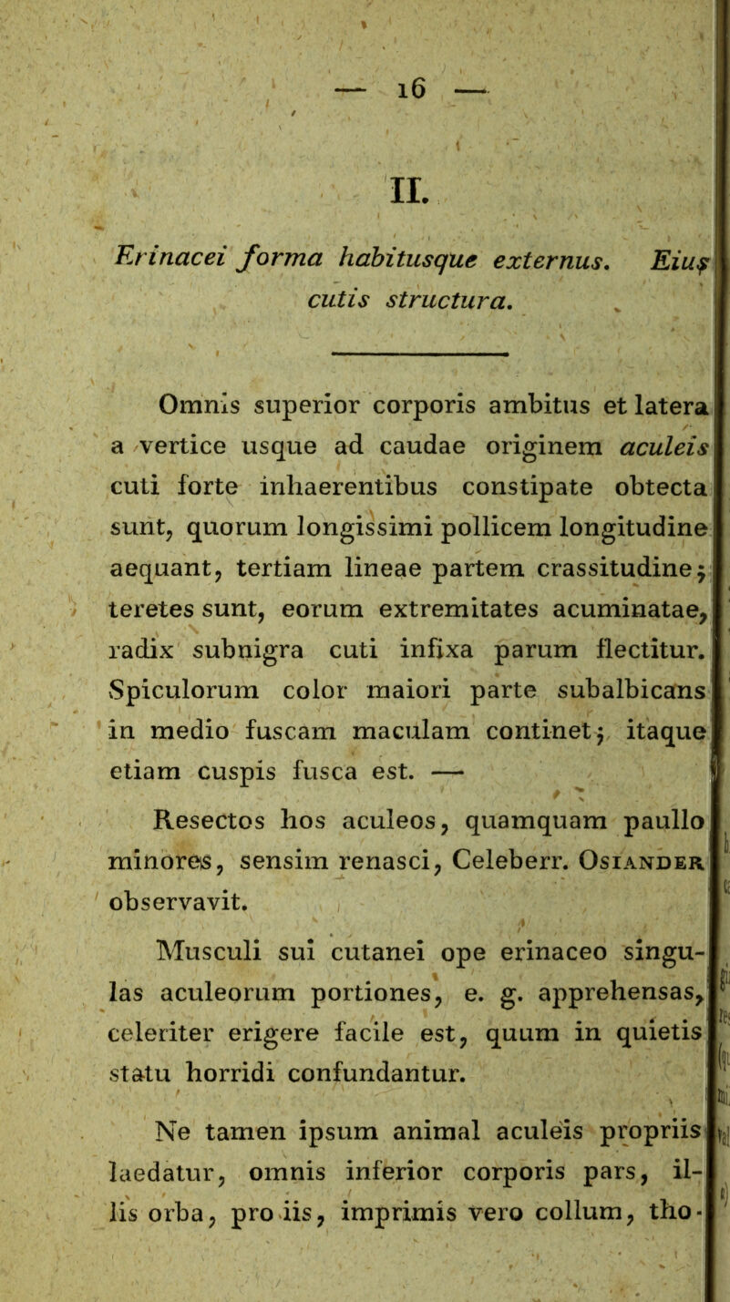 II. Erinacei forma habitusque externus, cutis structura. Eiu? Omnis superior corporis ambitus et latera j a vertice usque ad caudae originem aculeis cuti forte inhaerentibus constipate obtecta sunt, quorum longissimi pollicem longitudine aequant, tertiam lineae partem crassitudine} teretes sunt, eorum extremitates acuminatae, radix subnigra cuti infixa parum flectitur. Spiculorum color maiori parte subalbicans in medio fuscam maculam continet} itaque etiam cuspis fusca est. — Resectos hos aculeos, quamquam paullo minores, sensim renasci, Celeberr. Osiander observavit. Musculi sui cutanei ope erinaceo singu- las aculeorum portiones, e. g. apprehensas, celeriter erigere facile est, quum in quietis statu horridi confundantur. ' - ' ■ ■ ■ . ■, : Hi. Ne tamen ipsum animal aculeis propriis laedatur, omnis inferior corporis pars, il- lis orba, pro iis, imprimis vero collum, tho- '