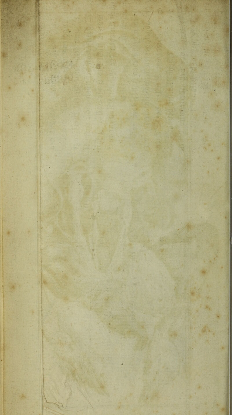 * jK '4\ 'r\ X*' ■>