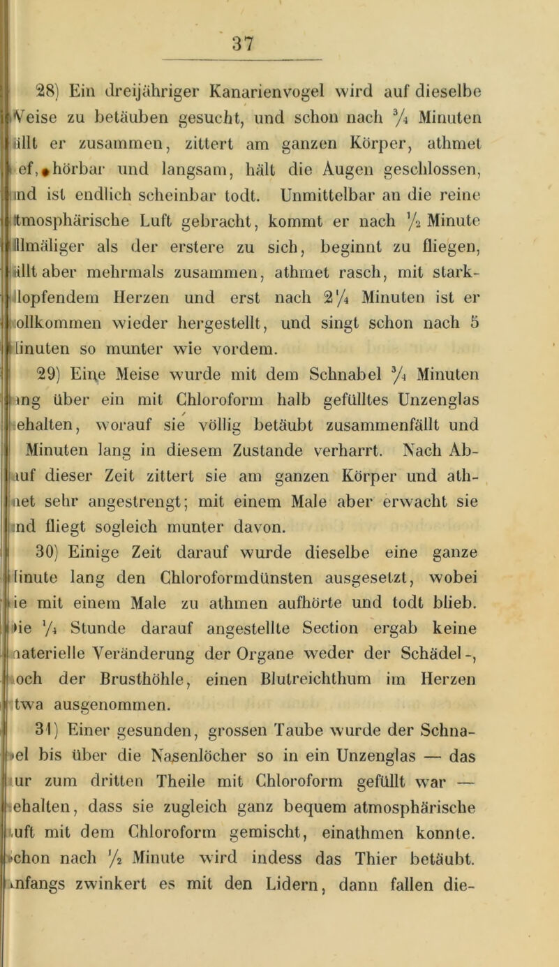 28) Ein dreijähriger Kanarienvogel wird auf dieselbe Ameise zu betäuben gesucht, und schon nach Minuten iillt er zusammen, zittert am ganzen Körper, athmet • ef,*hörbar und langsam, hält die Augen geschlossen, ind ist endlich scheinbar todt. Unmittelbar an die reine Iltmosphärische Luft gebracht, kommt er nach ’/2 Minute lllmäliger als der erstere zu sich, beginnt zu fliegen, iillt aber mehrmals zusammen, athmet rasch, mit stark- flopfendem Herzen und erst nach 2/4 Minuten ist er \ollkommen wieder hergestellt, und singt schon nach 5 ilinuten so munter wie vordem. 29) Eipe Meise wurde mit dem Schnabel Minuten wng über ein mit Chloroform halb gefülltes Unzenglas / gehalten, worauf sie völlig betäubt zusammenfällt und Minuten lang in diesem Zustande verharrt. Nach Ab- uuf dieser Zeit zittert sie am ganzen Körper und ath- iiet sehr angestrengt; mit einem Male aber erwacht sie ind fliegt sogleich munter davon. 30) Einige Zeit darauf wurde dieselbe eine ganze jilinute lang den Chloroformdünsten ausgesetzt, wobei de mit einem Male zu athmen aufhörte und todt blieb, ifle ’A Stunde darauf angestellte Section ergab keine toaterielle Veränderung der Organe weder der Schädel-, '»och der Brusthöhle, einen Blutreichthum im Herzen ■ twa ausgenommen. 31) Einer gesunden, grossen Taube wurde der Schna- bel bis über die Nasenlöcher so in ein Unzenglas — das Jur zum dritten Theile mit Chloroform gefüllt war — '»ehalten, dass sie zugleich ganz bequem atmosphärische mft mit dem Chloroform gemischt, einathmen konnte. >chon nach ’/2 Minute wird indess das Thier betäubt, mfangs zwinkert es mit den Lidern, dann fallen die-