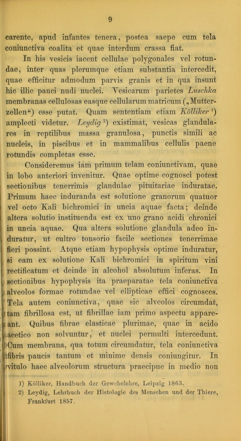 carente, apud infantes tenera, postea saepe cum tela coniunctiva coalita et quae interdum crassa fiat. In his vesicis iacent cellulae polygonales vel rotun- dae, inter quas plerumque etiam substantia intercedit, quae efficitur admodum parvis granis et in qua insunt hic illic pauci nudi nuclei. Yesicarum parietes lAisclika membranas cellulosas easque cellularum matricum („Mutter- zellen“) esse putat. Quam sententiam etiam KdlliJcer Q amplecti videtur. Leydig existimat, vesicas glandula- res in reptilibus massa granulosa, punctis simili ac nucleis, in piscibus et in mammalibus cellulis paene rotundis completas esse. Consideremus iain primum telam coniunctivam, quae in lobo anteriori invenitur. Quae optime cognosci potest sectionibus tenerrimis glandulae pituitariae induratae. Primum haec induranda est solutione granorum quatuor vel octo Kali bichromici in uncia aquae facta; deinde altera solutio instituenda est ex uno grano acidi chronici in uncia aquae. Qua altera solutione glandula adeo in- duratur, ut cultro tonsorio facile sectiones tenerrimae fieri possint. Atque etiam hypophysis optime induratur, : si eam ex solutione Kali bichromici in spiritum vini rectificatum et deinde in alcohol absolutum inferas. In I sectionibus hypophysis ita praeparatae tela coniunctiva t alveolos formae rotundae vel ellipticae effici cognosces. 'Tela autem coniunctiva, quae sic alveolos circumdat, itam fibrillosa est, ut fibrillae iam primo aspectu appare- ; ! ant. Quibus fibrae elasticae plurimae, quae in acido j .acetico non solvuntur,' et nuclei permulti intercedunt. 'Cum membrana, qua totum circumdatur, tela coniunctiva ifibris paucis tantum et minime densis coniungitur. In rsdtulo haec alveolorum structura praecipue in medio non 1) Kolliker, Handbuch dci’ Gewcbelehre, Leipzig 1863. 2) Leydig, Lehrbuch der Histologic des Menschen und der Tliiere, Frankfurt 1857.
