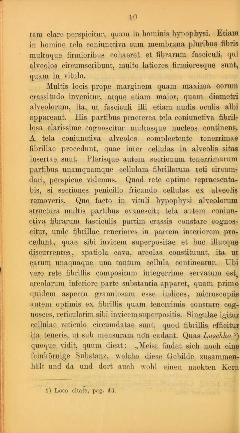 tam clare perspicitur, quam in hominis hypophysi. Etiam in homine tela coniunctiva cum membrana pluribus fibris multo que firmioribus cohaeret et fibrarum fasciculi, qui alveolos circumscribunt, multo latiores firmioresque sunt, quam in vitulo. Multis locis prope marginem quam maxima eorum crassitudo invenitur, atque etiam maior, quam diametri alveolorum, ita, ut fasciculi illi etiam nudis oculis albi appareant. His partibus praeterea tela coniunctiva fibril- losa clarissime cognoscitur multosque nucleos continens. A tela coniunctiva alveolos complectente tenerrimae fibrillae procedunt, quae inter cellulas in alveolis sitas insertae sunt. Plerisque autem sectionum tenerrimarum partibus unamquamque cellulam fibrillaram reti circum- dari, perspicue videmus. Quod rete optime repraesenta- bis, si sectiones penicillo fricando cellulas ex alveolis removeris. Quo facto in vituli hypophysi alveolorum structura multis partibus evanescit; tela autem coniun- ctiva fibrarum fasciculis partim crassis constare cognos- citur, unde fibrillae teneriores in partem interiorem pro- cedunt, quae sibi invicem superpositae et huc illucque discurrentes, spatiola cava, areolas constituunt, ita ut earum unaquaque una tantum cellula contineatur. Ubi vero rete fibrillis compositum integerrime servatum est^ areolarum inferiore parte substantia apparet, quam primo quidem aspectu granulosam esse indices, microsoopiis autem optimis ex fibrillis quam tenerrimis constare cog- nosces, reticulatim sibi invicem superpositis. Singulae igitur cellulae reticulo circumdatae sunt, quod fibrillis efficitur ita teneris, ut sub mensuram no'n cadant. Quas Luschka quoque vidit, quum dicat: „Mcist findet sich noch eine feinkornige Substanz, welclie diese Gebilde ynisammen- halt und da und dort auch wolil einen nackten Kern