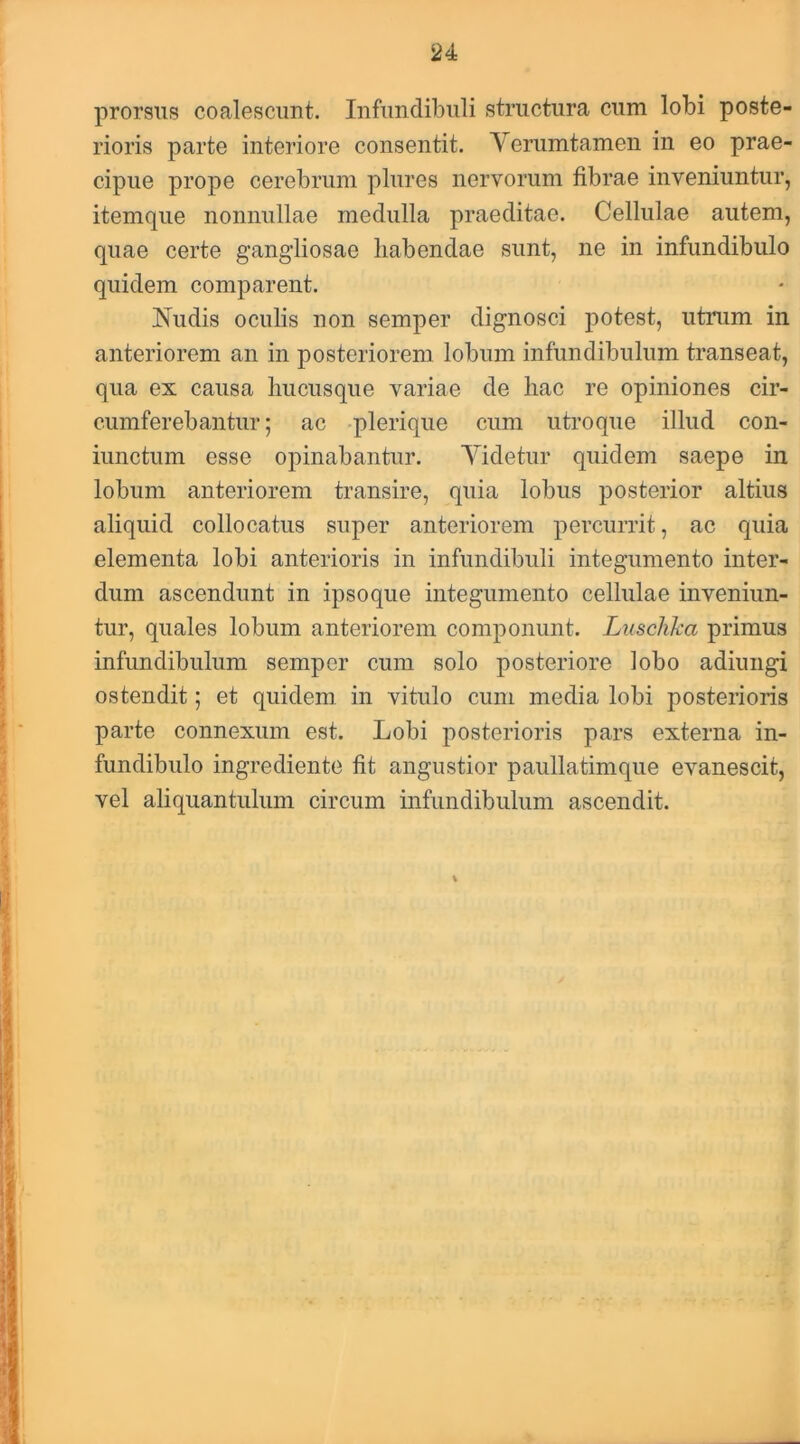 prorsus coalescunt. Infundibuli structura cum lobi poste- rioris parte interiore consentit. Yerumtamen in eo prae- cipue prope cerebrum plures nervorum fibrae inveniuntur, itemque nonnullae medulla praeditae. Cellulae autem, quae certe gangliosae liabendae sunt, ne in infundibulo quidem comparent. Nudis oculis non semper dignosci potest, utrum in anteriorem an in posteriorem lobum infundibulum transeat, qua ex causa liucusque variae de hac re opiniones cir- cumferebantur; ac -plerique cum utroque illud con- iunctum esse opinabantur. Videtur quidem saepe in lobum anteriorem transire, quia lobus posterior altius aliquid collocatus super anteriorem percurrit, ac quia elementa lobi anterioris in infundibuli integumento inter- dum ascendunt in ipso que integumento cellulae inveniun- tur, quales lobum anteriorem componunt. Lusclika primus infundibulum semper cum solo posteriore lobo adiungi ostendit; et quidem in vitulo cum media lobi posterioris parte connexum est. Lobi posterioris pars externa in- fundibulo ingrediente fit angustior paullatimque evanescit, vel aliquantulum circum infundibulum ascendit. i