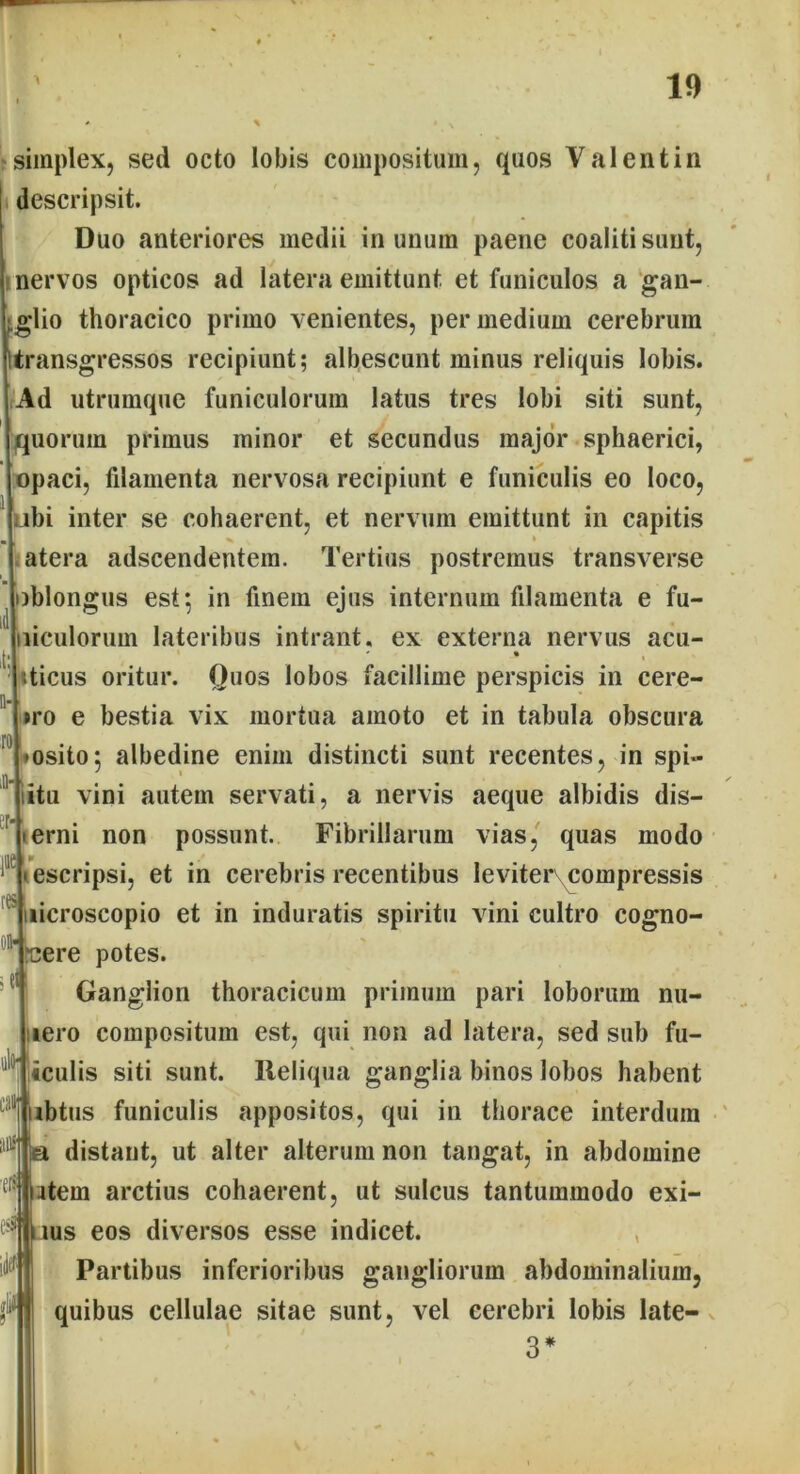 simplex, sed octo lobis compositum, quos Valentin descripsit. Duo anteriores medii in unum paene coaliti sunt, nervos opticos ad latera emittunt et funiculos a gan- ;.glio thoracico primo venientes, per medium cerebrum ‘transgressos recipiunt; albescunt minus reliquis lobis. Ad utrumque funiculorum latus tres lobi siti sunt, quorum primus minor et secundus major sphaerici, opaci, filamenta nervosa recipiunt e funiculis eo loco, ubi inter se cohaerent, et nervum emittunt in capitis atera adscendentem. Tertius postremus transverse )blongus est; in finem ejus internum filamenta e fu- liculorum lateribus intrant, ex externa nervus acu- sticus oritur. Quos lobos facillime perspicis in cere- tro e bestia vix mortua amoto et in tabula obscura »osito; albedine enim distincti sunt recentes, in spi- itu vini autem servati, a nervis aeque albidis dis— ierni non possunt. Fibrillarum vias, quas modo 11 -escripsi, et in cerebris recentibus leviter compressis uicroscopio et in induratis spiritu vini cultro cogno- ' ^ere potes. Ganglion thoracicum primum pari loborum nu- nero compositum est, qui non ad latera, sed sub fu- '  «culis siti sunt. Reliqua ganglia binos lobos habent ibtus funiculis appositos, qui in thorace interdum a distant, ut alter alterum non tangat, in abdomine ersiptem arctius cohaerent, ut sulcus tantummodo exi- jus eos diversos esse indicet. , Partibus inferioribus gangliorum abdominalium, quibus cellulae sitae sunt, vel cerebri lobis late-v 3* ro iQH er