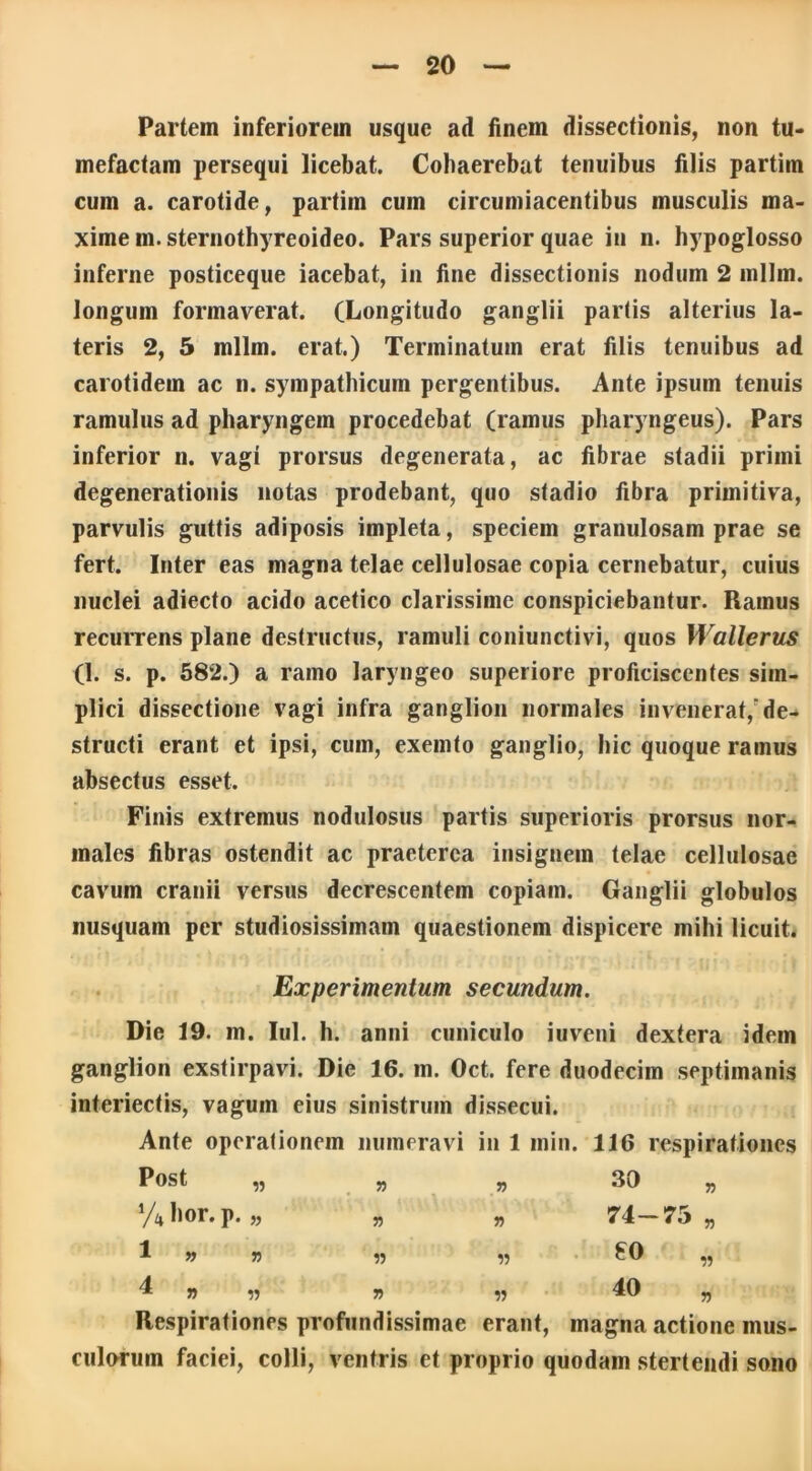 Partem inferiorem usque ad finem dissectionis, non tu- mefactam persequi licebat. Cohaerebat tenuibus filis partirn cum a. carotide, partirn cum circumjacentibus musculis ma- xime m. sternothyreoideo. Pars superior quae in n. hypoglosso inferne posticeque iacebat, in fine dissectionis nodum 2 mllm. longum formaverat. (Longitudo ganglii partis alterius la- teris 2, 5 mllm. erat.) Terminatum erat filis tenuibus ad carotidem ac n. sympathicum pergentibus. Ante ipsum tenuis ramulus ad pharyngem procedebat (ramus pharyngeus). Pars inferior n. vagi prorsus degenerata, ac fibrae stadii primi degenerationis notas prodebant, quo stadio fibra primitiva, parvulis guttis adiposis impleta, speciem granulosam prae se fert. Inter eas magna telae cellulosae copia cernebatur, cuius nuclei adiecto acido acetico clarissime conspiciebantur. Ramus recurrens plane destructus, ramuli coniunctivi, quos Wallerus (1. s. p. 582.) a ramo laryngeo superiore proficiscentes sim- plici dissectione vagi infra ganglion normales invenerat,'de- structi erant et ipsi, cum, exemto ganglio, hic quoque ramus absectus esset. Finis extremus nodulosus partis superioris prorsus nor- males fibras ostendit ac praeterea insignem telae cellulosae cavum cranii versus decrescentem copiam. Ganglii globulos nusquam per studiosissimam quaestionem dispicere mihi licuit. Experimentum secundum. Die 19. m. Iui. h. anni cuniculo iuveni dextera idem ganglion exstirpavi. Die 16. m. Oct. fere duodecim septimanis interiectis, vagum eius sinistrum dissecui. Ante operationem numeravi in 1 inin. 116 respirationes Post » 7) 30 7> %hor. p. 7) 7) 74-75 7.> 1 » V n » eo » 4 » w 7) V) 40 7) Respirationes profundissimae erant, magna actione mus- culorum faciei, colli, ventris et proprio quodam stertendi sono