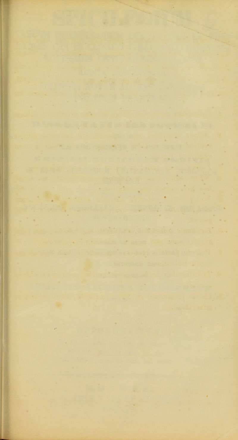 - D* * *' > ’ ■ * «