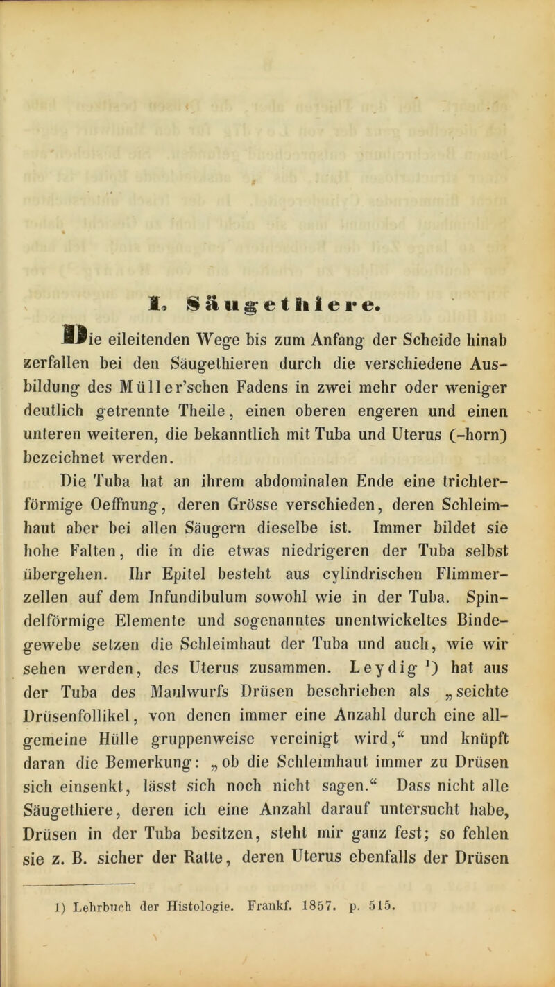 r IS ä 11 g’ e t ii I e 1* e* J^ie eileitenden Weg-e bis zum Anfang- der Scheide hinab zerfallen bei den Säug-ethieren durch die verschiedene Aus- bildung des Müller’schen Fadens in zwei mehr oder weniger deutlich getrennte Theile, einen oberen engeren und einen unteren weiteren, die bekanntlich mit Tuba und Uterus (-horn) bezeichnet werden. Die Tuba hat an ihrem abdominalen Ende eine trichter- förmige Oeffnung, deren Grösse verschieden, deren Schleim- haut aber bei allen Säugern dieselbe ist. Immer bildet sie hohe Falten, die in die etwas niedrigeren der Tuba selbst übergehen. Ihr Epilel besteht aus cylindrischen Flimmer- zellen auf dem Infundibulum sowohl wie in der Tuba. Spin- delförmige Elemente und sogenanntes unentwickeltes Binde- gewebe setzen die Schleimhaut der Tuba und auch, wie wir sehen werden, des Uterus zusammen. Leydig hat aus der Tuba des Maulwurfs Drüsen beschrieben als „seichte Drüsenfollikel, von denen immer eine Anzahl durch eine all- gemeine Hülle gruppenweise vereinigt wird,“ und knüpft daran die Bemerkung: „ob die Schleimhaut immer zu Drüsen sich einsenkt, lässt sich noch nicht sagen.“ Dass nicht alle Säugethiere, deren ich eine Anzahl darauf untersucht habe, Drüsen in der Tuba besitzen, steht mir ganz fest; so fehlen sie z. B. sicher der Ratte, deren Uterus ebenfalls der Drüsen 1) Lehrbuch der Histologie. Frankf. 1857. p. 515.