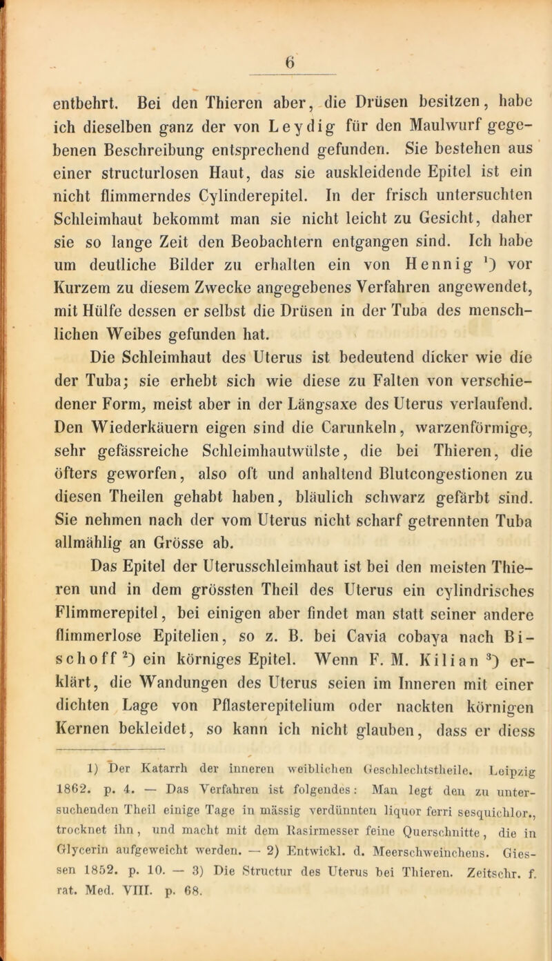 entbehrt. Bei den Thieren aber, die Drüsen besitzen, habe ich dieselben ganz der von Leydig für den Maulwurf gege- benen Beschreibung entsprechend gefunden. Sie bestehen aus einer structurlosen Haut, das sie auskleidende Epitel ist ein nicht flimmerndes Cylinderepitel. In der frisch untersuchten Schleimhaut bekommt man sie nicht leicht zu Gesicht, daher sie so lange Zeit den Beobachtern entgangen sind. Ich habe um deutliche Bilder zu erhallen ein von Hennig vor Kurzem zu diesem Zwecke angegebenes Verfahren angewendet, mit Hülfe dessen er selbst die Drüsen in der Tuba des mensch- lichen Weibes gefunden hat. Die Schleimhaut des Uterus ist bedeutend dicker wie die der Tuba; sie erhebt sich wie diese zu Falten von verschie- dener Form, meist aber in der Längsaxe des Uterus verlaufend. Den Wiederkäuern eigen sind die Carunkeln, warzenförmige, sehr gefässreiche Schleimhautwülste, die bei Thieren, die öfters geworfen, also oft und anhaltend Blutcongeslionen zu diesen Theilen gehabt haben, bläulich schwarz gefärbt sind. Sie nehmen nach der vom Uterus nicht scharf getrennten Tuba allmählig an Grösse ab. Das Epitel der Uterusschleimhaut ist bei den meisten Thie- ren und in dem grössten Theil des Uterus ein cylindrisches Flimmerepitel, bei einigen aber findet man statt seiner andere flimmerlose Epitelien, so z. B. bei Cavia cobaya nach Bi- sch off ein körniges Epitel. Wenn F. M. Kilian er- klärt, die Wandungen des Uterus seien im Inneren mit einer dichten Lage von Pflasterepitelium oder nackten körnigen Kernen bekleidet, so kann ich nicht glauben, dass er diess 1) Der Katarrh der inneren weiblichen Deschleclitstheile. Leipzig 1862. p. 4. — Das Verfahren ist folgendes: Man legt den zn unter- suchenden Theil einige Tage in massig -verdünnten liquor ferri sesquichlor., trocknet ihn, und macht mit dem llasirmesser feine Querschnitte, die in Glycerin aufgeweicht werden. — 2) Entwickl. d. Meersch-sveiuchens. Gies- sen 18r)2. p. 10. — 3) Die .Structur des Uterus bei Thieren. Zeitschr. f. rat. Med. VIII. p. 68.