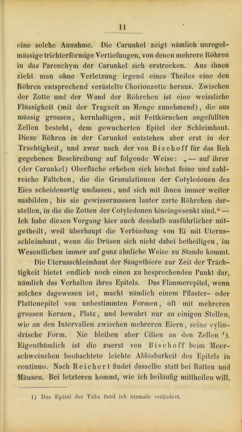 eine solche Annahme. Die Cariinkel zeigt nämlich unregel- mässige trichterförmige Vertiefungen, von denen mehrere Röhren in das Parenchym der Carunkel sich erstrecken. Aus ihnen zieht man ohne Verletzung irgend eines Theiles eine den Röhren entsprechend verästelte Chorionzotte heraus. Zwischen der Zotte und der Wand der Röhrchen ist eine weissliche Flüssigkeit (mit der Tragzeit an Menge zunehmend), die aus mässig grossen, kernhaltigen, mit Fettkörnchen angefüllten Zellen besteht, dem gewucherten Epitel der Schleimhaut. Diese Röhren in der Carunkel entstehen aber erst in der Trächtigkeit, und zwar nach der von Bischoff für das Reh gegebenen Beschreibung auf folgende Weise: „— auf ihrer (der Carunkel) Oberfläche erheben sich höchst feine und zahl- reiche Fältchen, die die Granulationen der Cotyledonen des Eies scheidenartig umfassen, und sich mit ihnen immer weiter ausbilden, bis sie gewissermassen lauter zarte Röhrchen dar- stellen, in die die Zotten der Cotyledonen hineingesenkt sind.“ — Ich habe diesen Vorgang hier auch desshalb ausführlicher mit- getheilt, weil überhaupt die Verbindung von Ei mit Uterus- schleimhaut, wenn die Drüsen sich nicht dabei betheiligen, im Wesentlichen immer auf ganz ähnliche Weise zu Stande kommt. Die Uterusschleimhaut der Säugethiere zur Zeit der Träch- tigkeit bietet endlich noch einen zu besprechenden Punkt dar, nämlich das Verhalten ihres Epitels. Das Flimmerepitel, wenn solches dagewesen ist, macht nämlich einem Pflaster- oder Plattenepitel von unbestimmten Formen, oft mit mehreren grossen Kernen, Platz, und bewahrt nur an einigen Stellen, wie an den Intervallen zwischen mehreren Eiern, seine cylin- drische Form. Nie bleiben aber Cilien an den Zellen ^). Eigenthümlich ist die zuerst von Bischoff beim Meer- schweinchen beobachtete leichte Ablösbarkeit des Epitels in continuo. Nach Reichert findet dasselbe statt bei Ratten und Mäusen. Bei letzteren kommt, wie ich beiläufig mittheilen will. 1) Das Epitel der Tuba fand ich niemals verändert.