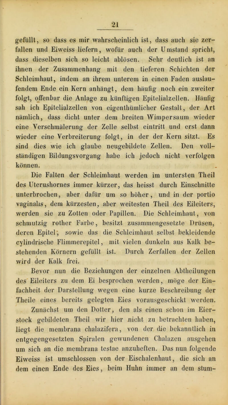 getiillt, so dass es mir wahrscheinlich ist, dass auch sie zer- fallen und Eiweiss liefern, wofür auch der Umstand spricht, dass dieselben sich so leicht ablösen. Sehr deutlich ist an ihnen der Zusammenhang- mit den tieferen Schichten der Schleimhaut, indem an ihrem unterem in einen Faden auslau- fendem Ende ein Kern anhängt, dem häufig noch ein zweiter folgt, (^IFenbar die Anlage zu künftigen Epitelialzellen. Häufig sah ich Epitelialzellen von eigenthümlicher Gestalt, der Art nämlich, dass dicht unter dem breiten Wimpersaum wieder eine Verschmälerung der Zelle selbst eintritt und erst dann wieder eine Verbreiterung folgt, in der der Kern sitzt. Es sind dies wie ich glaube neugebildete Zellen. Den voll- ständigen Bildungsvorgang habe ich jedoch nicht verfolgen können. Die Falten der Schleimhaut werden im untersten Theil des Uterushornes immer kürzer, das heisst durch Einschnitte unterbrochen, aber dafür um so höher, und in der portio vaginalis, dem kürzesten, aber weitesten Theil des Eileiters, werden sie zu Zotten oder Papillen. Die Schleimhaut, von schmutzig rother Farbe, besitzt zusammengesetzte Drüsen, deren Epitel', sowie das die Schleimhaut selbst bekleidende cylindrische Flimmerepitel, mit vielen dunkeln aus Kalk be- stehenden Körnern gefüllt ist. Durch Zerfallen der Zellen wird der Kalk frei. Bevor nun die Beziehungen der einzelnen Abtheilungen des' Eileiters zu dem Ei besprochen werden, möge der Ein- fachheit der Darstellung wegen eine kurze Beschreibung der Theile eines bereits gelegten Eies vorausgeschickt werden. Zunächst um den Dotter, den als einen schon im Eier- stock gebildeten Theil wir hier nicht zu betrachten haben, liegt die membrana chalazifera, von der die bekanntlich in entgegengesetzten Spiralen gewundenen Chalazen ausgehen um sich an die membrana testae anzuheften. Das nun folgende Eiweiss ist umschlossen von der Eischalenhaut, die sich an dem einen Ende des Eies, beim Huhn immer an dem stum-