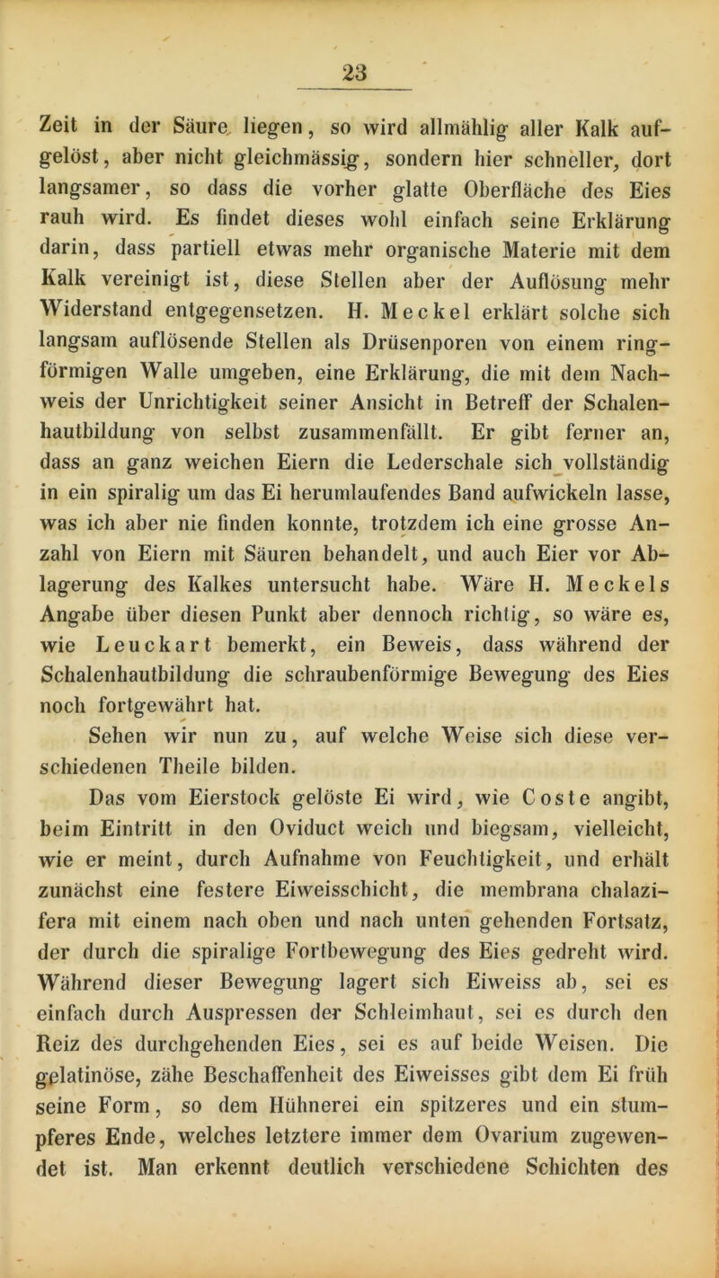 Zeit in der Säure, liegen, so wird allmählig aller Kalk auf- gelöst, aber nicht gleichmässig, sondern hier schneller, dort langsamer, so dass die vorher glatte Oberfläche des Eies rauh wird. Es findet dieses wohl einfach seine Erklärung darin, dass partiell etwas mehr organische Materie mit dem Kalk vereinigt ist, diese Stellen aber der Auflösung mehr Widerstand entgegensetzen. H. Meckel erklärt solche sich langsam auflösende Stellen als Drüsenporen von einem ring- förmigen Walle umgeben, eine Erklärung, die mit dem Nach- weis der Unrichtigkeit seiner Ansicht in Betreff der Schalen- hautbildung von selbst zusammenfällt. Er gibt ferner an, dass an ganz weichen Eiern die Lederschale sich^vollständig in ein spiralig um das Ei herumlaufendes Band aufwickeln lasse, was ich aber nie finden konnte, trotzdem ich eine grosse An- zahl von Eiern mit Säuren behandelt, und auch Eier vor Ab- lagerung des Kalkes untersucht habe. Wäre H. Meckels Angabe über diesen Punkt aber dennoch richtig, so wäre es, wie Leuckart bemerkt, ein Beweis, dass während der Schalenhautbildung die schraubenförmige Bewegung des Eies noch fortgewährt hat. Sehen wir nun zu, auf welche Weise sich diese ver- schiedenen Theile bilden. Das vom Eierstock gelöste Ei wird, wie Coste angibt, beim Eintritt in den Oviduct weich und biegsam, vielleicht, wie er meint, durch Aufnahme von Feuchtigkeit, und erhält zunächst eine festere Eiweisschicht, die membrana chalazi- fera mit einem nach oben und nach unten gehenden Fortsatz, der durch die spiralige Fortbewegung des Eies gedreht wird. Während dieser Bewegung lagert sich Eiweiss ab, sei es einfach durch Auspressen der Schleimhaut, sei es durch den Reiz des durchgehenden Eies, sei es auf beide Weisen. Die gelatinöse, zähe Beschaffenheit des Eiweisses gibt dem Ei früh seine Form, so dem Hühnerei ein spitzeres und ein stum- pferes Ende, welches letztere immer dem Ovarium zugewen- det ist. Man erkennt deutlich verschiedene Schichten des