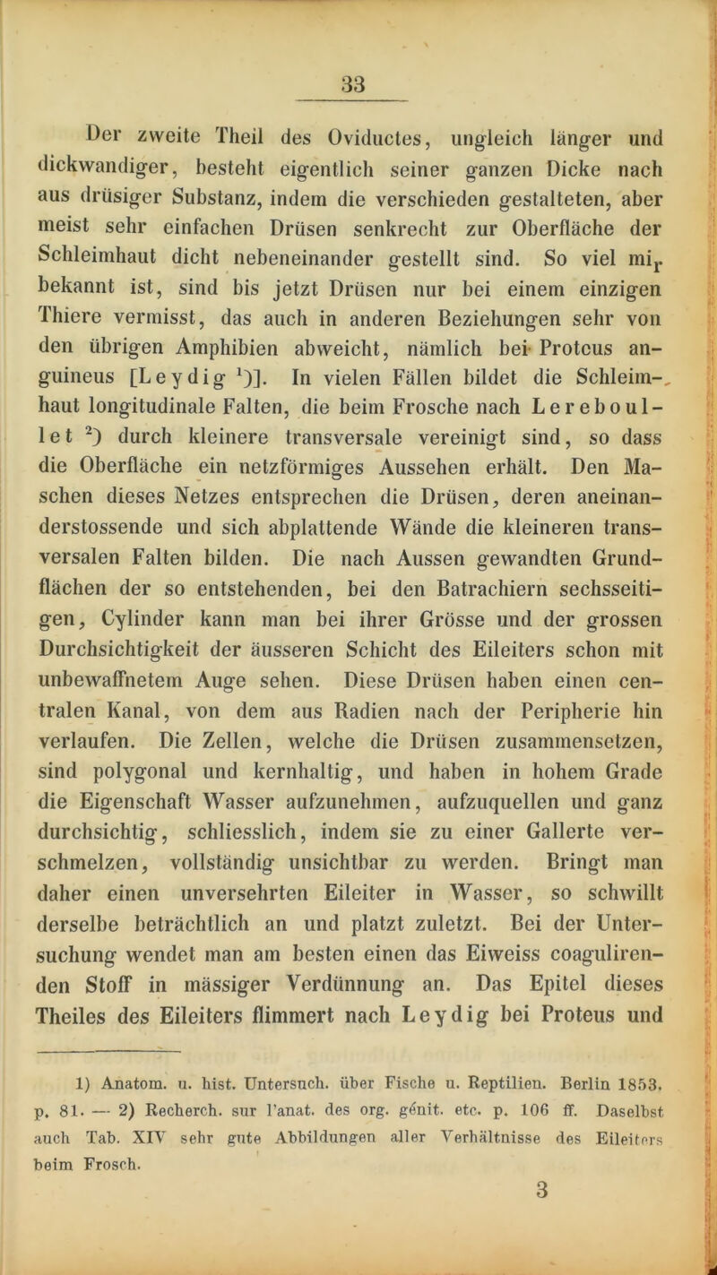 Der zweite Theil des Oviductes, ungleich länger und dickwandiger, besteht eigentlich seiner ganzen Dicke nach aus drüsiger Substanz, indem die verschieden gestalteten, aber meist sehr einfachen Drüsen senkrecht zur Oberfläche der Schleimhaut dicht nebeneinander gestellt sind. So viel mij. bekannt ist, sind bis jetzt Drüsen nur bei einem einzigen Thiere vermisst, das auch in anderen Beziehungen sehr von den übrigen Amphibien abweicht, nämlich bei Proteus an- guineus [Leydig ^)]. In vielen Fällen bildet die Schleim-, haut longitudinale Falten, die beim Frosche nach Lereboul- 1 e t durch kleinere transversale vereinigt sind, so dass die Oberfläche ein netzförmiges Aussehen erhält. Den Ma- schen dieses Netzes entsprechen die Drüsen, deren aneinan- derstossende und sich abplattende Wände die kleineren trans- versalen Falten bilden. Die nach Aussen gewandten Grund- flächen der so entstehenden, bei den Batrachiern sechsseiti- gen, Cylinder kann man bei ihrer Grösse und der grossen Durchsichtigkeit der äusseren Schicht des Eileiters schon mit unbewaffnetem Auge sehen. Diese Drüsen haben einen cen- tralen Kanal, von dem aus Radien nach der Peripherie hin verlaufen. Die Zellen, welche die Drüsen zusammensetzen, sind polygonal und kernhaltig, und haben in hohem Grade die Eigenschaft Wasser aufzunehmen, aufzuquellen und ganz durchsichtig, schliesslich, indem sie zu einer Gallerte ver- schmelzen, vollständig unsichtbar zu werden. Bringt man daher einen unversehrten Eileiter in Wasser, so schwillt derselbe beträchtlich an und platzt zuletzt. Bei der Unter- suchung wendet man am besten einen das Eiweiss coaguliren- den Stoff in mässiger Verdünnung an. Das Epitel dieses Theiles des Eileiters flimmert nach Leydig bei Proteus und 1) Anatom, u. hist. Untersuch, über Fische u. Reptilien. Berlin 1853. p. 81. — 2) Recherch. sur l’anat. des org. gönit. etc. p. 106 ff. Daseihst auch Tab. XIV sehr gute Abbildungen aller Verhältnisse des Eileiters beim Frosch. 3