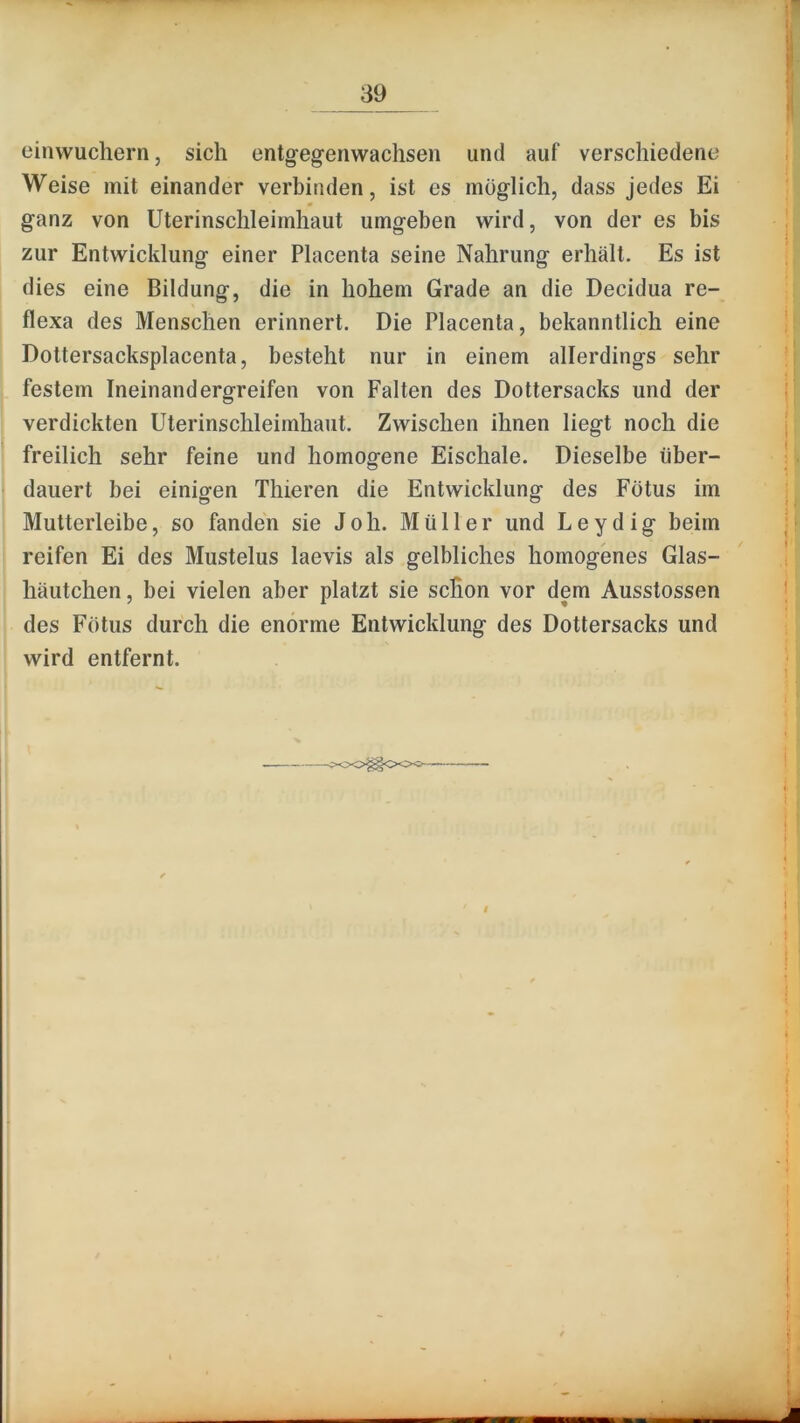 ein wuchern, sich entgegen wachsen und auf verschiedene Weise mit einander verbinden, ist es möglich, dass jedes Ei ganz von Uterinschleimhaut umgeben wird, von der es bis zur Entwicklung einer Placenta seine Nahrung erhält. Es ist dies eine Bildung, die in hohem Grade an die Decidua re- flexa des Menschen erinnert. Die Placenta, bekanntlich eine Dottersacksplacenta, besteht nur in einem allerdings sehr festem Ineinandergreifen von Falten des Dottersacks und der verdickten Uterinschleimhaut. Zwischen ihnen liegt noch die freilich sehr feine und homogene Eischale. Dieselbe über- dauert bei einigen Thieren die Entwicklung des Fötus im Mutterleibe, so fanden sie Joh. Müller und Leydig beim reifen Ei des Mustelus laevis als gelbliches homogenes Glas- häutchen , bei vielen aber platzt sie schon vor dem Ausstossen des Fötus durch die enorme Entwicklung des Dottersacks und wird entfernt.