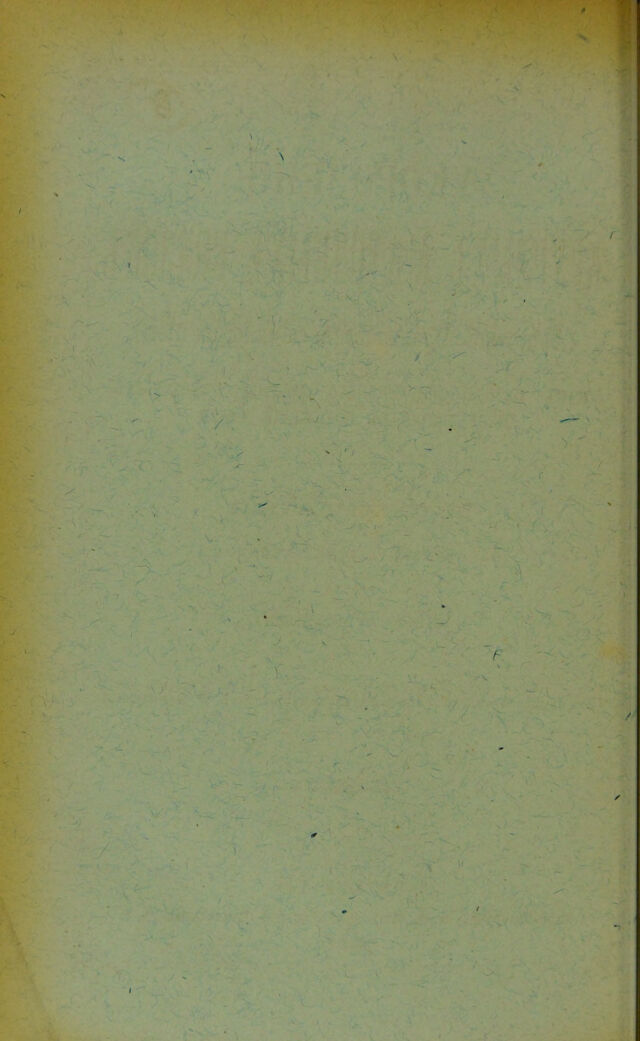 digitised image 2