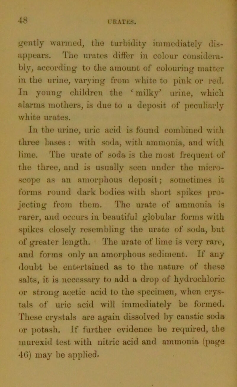 gently wanned, the turbidity immediately dis- appears. The urates differ in colour considera- bly, according to the amount of colouring matter in the urine, varying from white to pink or red. In young children the ‘milky’ urine, which alarms mothers, is due to a deposit of peculiarly white urates. In the urine, uric acid is found combined with three bases : with soda, with ammonia, and with lime. The urate of soda is the most frequent of the three, and is usually seen under the micro- scope as an amorphous deposit; sometimes it forms round dark bodies with short spikes pro- jecting from them. The urate of ammonia is rarer, and occurs in beautiful globular forms with spikes closely resembling the urate of soda, but of greater length. The urate of lime is very rare, and forms only an amorphous sediment. If any doubt be entertained as to the nature of these salts, it is necessary to add a drop of hydrochloric or strong acetic acid to the specimen, when crys- tals of uric acid will immediately be formed. These crystals are again dissolved by caustic soda or potash. If further evidence be required, the murexid test with nitric acid and ammonia (page 40) may be applied.