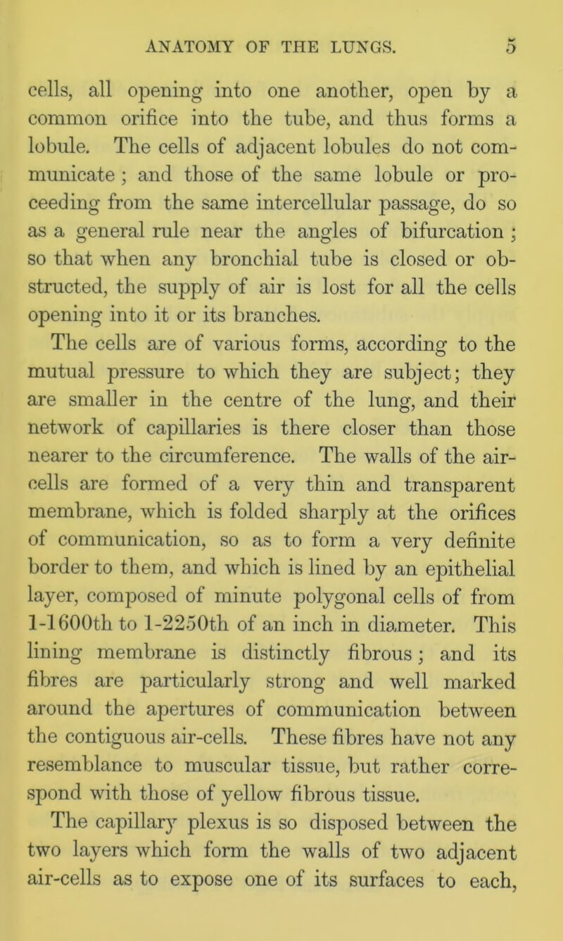 cells, all opening into one another, open by a common orifice into the tube, and thus forms a lobule. The cells of adjacent lobules do not com- municate ; and those of the same lobule or pro- ceeding from the same intercellular passage, do so as a general rule near the angles of bifurcation ; so that when any bronchial tube is closed or ob- structed, the supply of air is lost for all the cells opening into it or its branches. The cells are of various forms, according to the mutual pressure to which they are subject; they are smaller in the centre of the lung, and their network of capillaries is there closer than those nearer to the circumference. The walls of the air- cells are formed of a very thin and transparent membrane, which is folded sharply at the orifices of communication, so as to form a very definite border to them, and which is lined by an epithelial layer, composed of minute polygonal cells of from 1-1600th to l-2250th of an inch in diameter. This lining membrane is distinctly fibrous; and its fibres are particularly strong and well marked around the apertures of communication between the contiguous air-cells. These fibres have not any resemblance to muscular tissue, but rather corre- spond with those of yellow fibrous tissue. The capillary plexus is so disposed between the two layers which form the walls of two adjacent air-cells as to expose one of its surfaces to each.