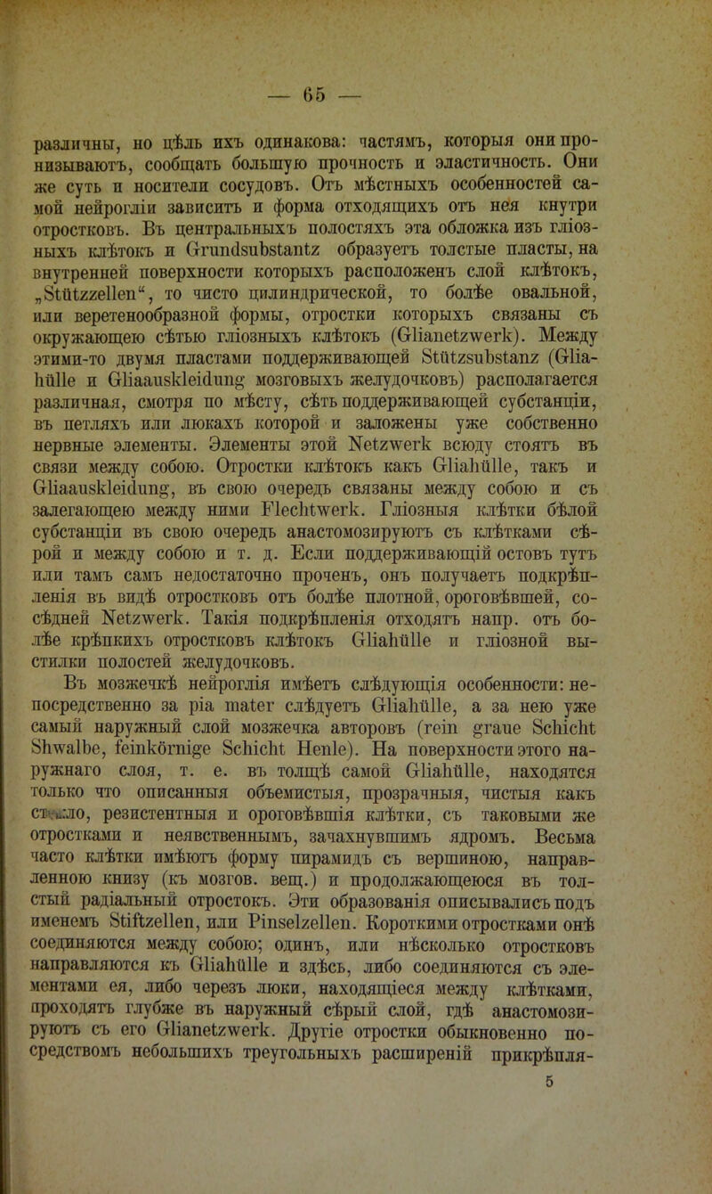 различны, но цѣль ихъ одинакова: частямъ, который онипро- низываютъ, сообщать большую прочность и эластичность. Они же суть и носители сосудовъ. Отъ мѣстныхъ особенностей са- мой нейрогліи зависитъ и форма отходящихъ отъ нея кнутри отростковъ. Въ центральныхъ полостяхъ эта обложка изъ гліоз- ныхъ клѣтокъ и ОтшісІзиЪзіаігіг образуетъ толстые пласты, на внутренней поверхности которыхъ расположенъ слой клѣтокъ, „ЙШяхеІІеп, то чисто цилиндрической, то болѣе овальной, или веретенообразной формы, отростки которыхъ связаны съ окружающею сѣтью гліозныхъ клѣтокъ (бгІіапеЪгчѵегк). Между этими-то двумя пластами поддерживающей ЙШяйиЪзіапя (Оііа- Ііііііе и Оііааивкіеісішііі; мозговыхъ желудочковъ) располагается различная, смотря по мѣсту, сѣть поддерживающей субстанціи, въ петляхъ или люкахъ которой и заложены уже собственно нервные элементы. Элементы этой ^І2\ѵегк всюду стоять въ связи между собою. Отростки клѣтокъ какъ СгКаІшПе, такъ и Сгііааизкіеісіип^, въ свою очередь связаны между собою и съ залегающею между ними ШесМчѵегк. Гліозныя клѣтки бѣлой субстанціи въ свою очередь анастомозируютъ съ клѣтками сѣ- рой и между собою и т. д. Если поддерживающій остовъ тутъ или тамъ самъ недостаточно проченъ, онъ получаетъ подкрѣп- ленія въ видѣ отростковъ отъ болѣе плотной, ороговѣвшей, со- сѣдней №і2\ѵегк. Такія подкрѣпленія отходятъ напр. отъ бо- лѣе крѣпкихъ отростковъ клѣтокъ СгІіапйНе и гліозной вы- стилки полостей желудочковъ. Въ мозжечкѣ нейроглія имѣетъ слѣдующія особенности: не- посредственно за ріа таі.ег слѣдуетъ Сгііаіійііе, а за нею уже самый наружный слой мозжечка авторовъ (геіп §гаие 8с1ііс1іі ЙІшаІЪе, геіпкбгпі^е 8сЫсМ Непіе). На поверхности этого на- ружнаго слоя, т. е. въ толщѣ самой Оііапйііе, находятся только что описанныя объемистыя, прозрачный, чистыя какъ садило, резистентный и ороговѣвшія клѣтки, съ таковыми же отростками и неявственнымъ, зачахнувшимъ ядромъ. Весьма часто клѣтки имѣютъ форму пирамидъ съ вершиною, направ- ленною книзу (кь мозгов, вещ.) и продолжающеюся въ тол- стый радіальный отростокъ. Эти образованія описывались подъ имснемъ 8ііЙ2е11еп, или Ріпзеіяеііеп. Короткими отростками онѣ соединяются между собою; одинъ, или нѣсколько отростковъ направляются къ ОИаЬйІІе и здѣсь, либо соединяются съ эле- ментами ея, либо черезъ люки, находящіеся между клѣтками, проходятъ глубже въ наружный сѣрый слой, гдѣ анастомози- руютъ съ его (}1іапеІ2\ѵегк. Другіе отростки обыкновенно по- средствомъ неболыпихъ треугольныхъ расширены прикрѣпля- 5