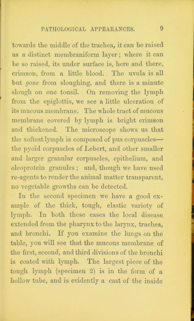 towards the middle of the trachea, it can be raised as a distinct membraniform layer; where it can be so raised, its under surface is, here and there, crimson, from a little blood. The uvula is all but gone from sloughing, and there is a minute slough on one tonsil. On removing the lymph from the epiglottis, we see a little ulceration of its mucous membrane. The whole tract of mucous membrane covered by lymph is bright crimson and thickened. The microscope shows us that the softest lymph is composed of pus corpuscles— the pyoid corpuscles of Lebert, and other smaller and larger granular corpuscles, epithelium, and oleoprotein granules ; and, though we have used re-agents to render the animal matter transparent, no vegetable growths can be detected. In the second specimen we have a good ex- ample of the thick, tough, elastic variety of lymph. In both these cases the local disease extended from the pharynx to the larynx, trachea, and bronchi. If you examine the lungs on the table, you will see that the mucous membrane of the first, second, and third divisions of the bronchi is coated with lymph. The largest piece of the tough lymph (specimen 2) is in the form of a hollow tube, and is evidently a cast of the inside