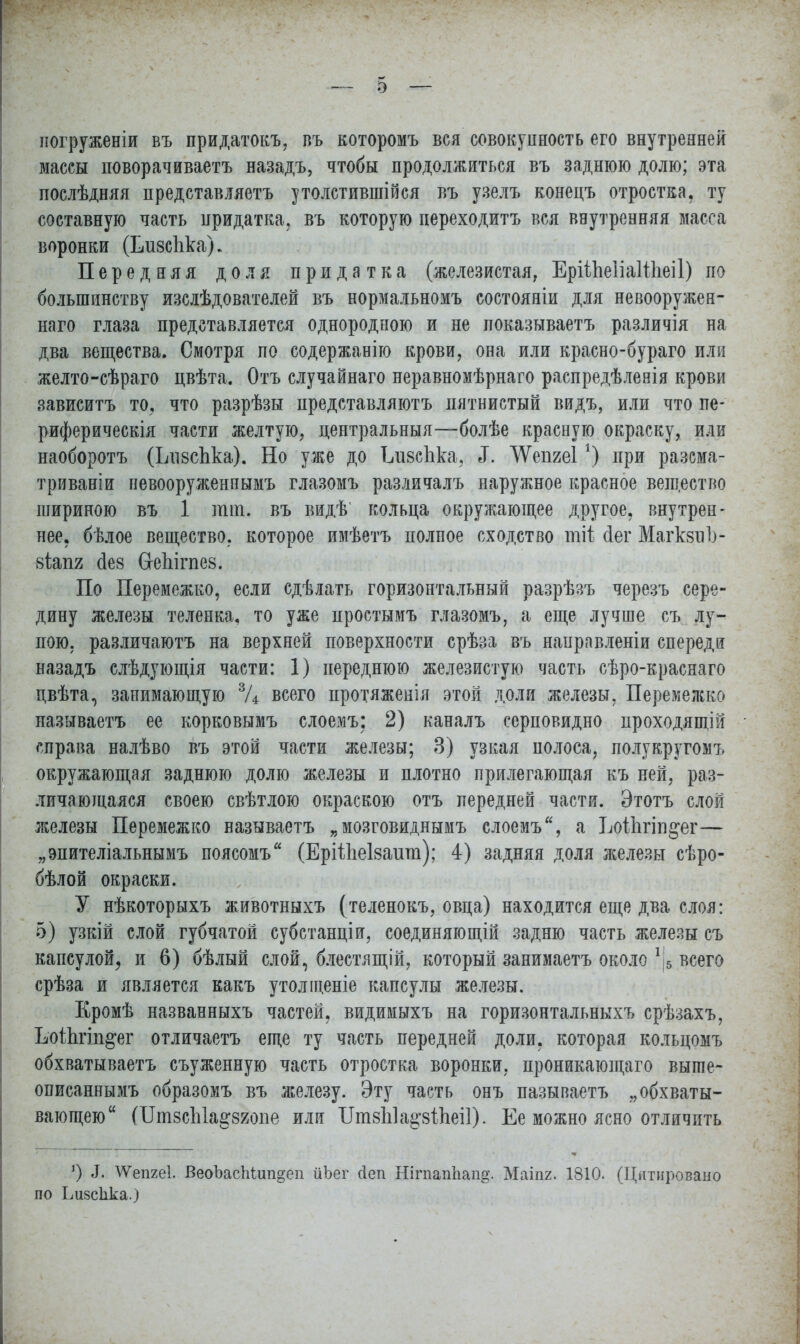 погруженіи въ придатокъ, въ которомъ вся совокупность его внутренней массы поворачиваетъ назадъ, чтобы продолжиться въ заднюю долю; эта послѣдняя представляетъ утолстившійся въ узелъ конецъ отростка, ту составную часть придатка, въ которую нереходитъ вся внутренняя масса воронки (ЬизсЬка). Передняя доля придатка (железистая, ЕрШіеІіаШіеіІ) по большинству изслѣдователей въ нормальномъ состояніи для невооружен- наго глаза представляется однородною и не показываетъ различія на два вещества. Смотря по содержанію крови, она или красно-бураго или желто-сѣраго цвѣта. Отъ случайнаго неравномѣрнаго распредѣленія крови зависитъ то, что разрѣзы представляютъ пятнистый видъ, или что пе- риферическія части желтую, центральный—болѣе красную окраску, или наоборотъ (Іді8сгіка). Но уже до ЬизсЪка, Л. АУепяеІ*) при разсма- триваніи невооруженпымъ глазомъ различалъ наружное красное вещество шириною въ 1 тт. въ видѣ кольца окружающее другое, внутрен- нее, бѣлое вещество, которое имѣетъ полное сходство тіт сіег МагкзиЪ- 8Іап2 (іез ОеЫгпез. По Перемежко, если сдѣлать горизонтальный разрѣзъ черезъ сере- дину железы теленка, то уже простымъ глазомъ, а еще лучше съ лу- пою, различаютъ на верхней поверхности срѣза въ направленіи спереди назадъ слѣдующія части: 1) переднюю железистую часть сѣро-красяаго цвѣта, занимающую 3Д всего протяженія этой доли железы, Перемежко называетъ ее корковымъ слоемъ: 2) каналъ серповидно проходящій справа налѣво въ этой части железы; 3) узкая полоса, полукругомъ окружающая заднюю долю железы и плотно прилегающая къ ней, раз- личающаяся своею свѣтлою окраскою отъ передней части. Этотъ слой железы Перемежко называетъ „мозговиднымъ слоемъ, а Шіігіп^ег— „эпителіальнымъ поясомъ (ЕрШіеІзаит); 4) задняя доля железы сѣро- бѣлой окраски. У нѣкоторыхъ животныхъ (теленокъ, овца) находится еще два слоя: 5) узкій слой губчатой субстанціи, соединяющей задню часть железы съ капсулой, и 6) бѣлый слой, блестящій, который занимаетъ около -.|5 всего срѣза и является какъ утолщеніе капсулы железы. Кромѣ названныхъ частей, видимыхъ на горизонтальнкхъ срѣзахъ, ЪоІЬгіп^ег отличаетъ еще ту часть передней доли, которая кольцомъ обхватываетъ съуженную часть отростка воронки, проникающаго выше- описаннымъ образомъ въ железу. Эту часть онъ называетъ „обхваты- вающею (ІІт8сЫа^820ііе или Іітзіііа^зіііеіі). Ее можно ясно отличпть ') X АѴепгеІ. ВеоЪасЫшідеп йЬег сіеп ШгпапЬап»'. Маіпг. 1810. (Цитировано по Ьизсііка.)