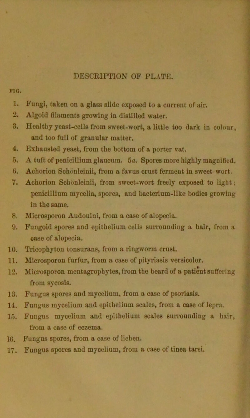DESCRIPTION OF PLATE. FJO. 1. Fungi, taken on a glass slide exposed to a current of air. 2. Algoid filaments growing in distilled water. 3. Healthy yeast-cells from sweet-wort, a little too dark in colour, and too full of granular matter. 4. Exhausted yeast, from the bottom of a porter vat. 5. A tuft of penicillium glaucum. 6a. Spores more highly magnified. 6. Achorion Schonleinii, from a favus crust ferment in sweet wort. 7. Achorion Schonleinii, from sweet-wort freely exposed to light; penicillium mycelia, spores, and bacterium-like bodies growing in the same. 8. Microsporon Audouini, from a case of alopecia. 9. Fungoid spores and epithelium cells surrounding a hair, from a case of alopecia. 10. Tricophyton tonsurans, from a ringworm crust. 11. Microsporon furfur, from a case of pityriasis versicolor. 12. Microsporon mentagrophytes, from the beard of a patient suffering from sycosis. 13. Fungus spores and mycelium, from a case of psoriasis. 14. Fungus mycelium and epithelium scales, from a case of lepra. 15. Fungus mycelium and epithelium scales surrounding a hair, from a case of eczema. 10. Fungus spores, from a case of lichen. 17. Fungus spores and mycelium, from a case of tinea tarsi.