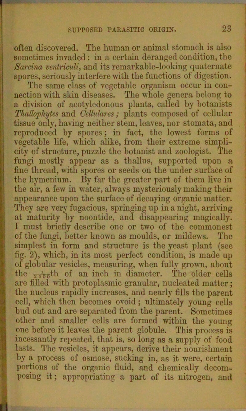 often discovered. The human or animal stomach is also sometimes invaded : in a certain deranged condition, the Sarcina ventriculi, and its remarkable-looking quaternate spores, seriously interfere with the functions of digestion. The same class of vegetable organism occur in con- nection with skin diseases. The whole genera belong to a division of acotyledonous plants, called by botanists ThaUophytes and CeUulares; plants composed of cellular tissue only, having neither stem, leaves, nor stomata, and reproduced by spores; in fact, the lowest forms of vegetable life, which alike, from their extreme simpli- city of structure, puzzle the botanist and zoologist. The fungi mostly appear as a tliallus, supported upon a fine thread, with spores or seeds on the under surface of the hymenium. By far the greater part of them live in the air, a few in water, always mysteriously making their appearance upon the surface of decaying organic matter. They are very fugacious, springing up in a night, arriving at maturity by noontide, and disappearing magically. I must briefly describe one or two of the commonest of the fungi, better known as moulds, or mildews. The simplest in form and structure is the yeast plant (see fig. 2), which, in its most perfect condition, is made up of globular vesicles, measuring, when fully grown, about the TsVstb of an inch in diameter. The older cells are filled with protoplasmic granular, nucleated matter; the nucleus rapidly increases, and nearly fills the parent cell, which then becomes ovoid; ultimately young cells bud out and are separated from the parent. Sometimes other and smaller cells are formed within the young one before it leaves the parent globule. This process is incessantly repeated, that is, so long as a supply of food lasts. The vesicles, it appears, derive their nourishment by a process of osmose, sucking in, as it were, certain portions of the organic fluid, and chemically decom- posing it; appropriating a part of its nitrogen, and