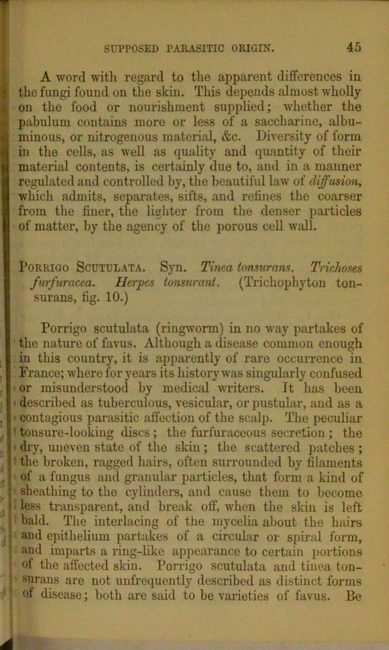 A word with regard to the apparent differences in the fungi found on the skin. This depends almost wholly on the food or nourishment supplied; whether the pabulum contains more or less of a saccharine, albu- minous, or nitrogenous material, &c. Diversity of form in the cells, as well as quality and quantity of their material contents, is certainly due to, and in a manner regulated and controlled by, the beautiful law of diffusion, which admits, separates, sifts, and refines the coarser from the finer, the lighter from the denser particles of matter, by the agency of the porous cell wall. Porrigo Scutulata. Syn. Tinea tonsurans. Trichoses furfuracea. Herpes tonsurant. (Trichophyton ton- surans, fig. 10.) Porrigo scutulata (ringworm) in no way partakes of the nature of favus. Although a disease common enough in this country, it is apparently of rare occurrence in France; where for years its history was singularly confused or misunderstood by medical writers. It has been described as tuberculous, vesicular, or pustular, and as a • contagious parasitic affection of the scalp. The peculiar ' tonsure-looking discs ; the furfuraceous secretion ; the • dry, uneven state of the skin ; the scattered patches ; ' the broken, ragged hairs, often surrounded by filaments of a fungus and granular particles, that form a kind of sheathing to the cylinders, and cause them to become less transparent, and break off, when the skin is left bald. The interlacing of the mycelia about the hairs and epithelium partakes of a circular or spiral form, and imparts a ring-like appearance to certain portions of the affected skin. Porrigo scutulata and tinea ton- ' surans are not unfrequently described as distinct forms ot disease; both are said to be varieties of favus. Be