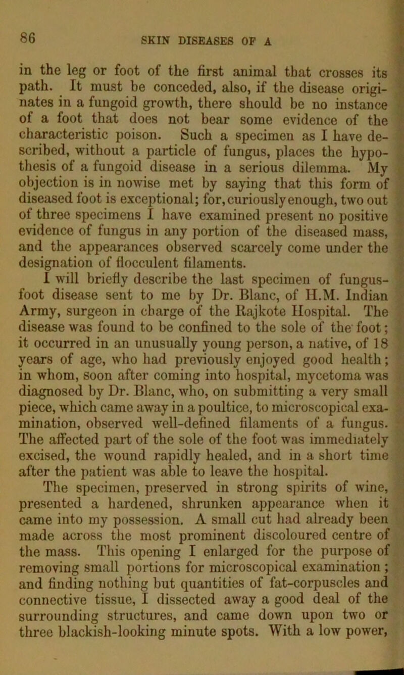 in the leg or foot of the first animal that crosses its path. It must be conceded, also, if the disease origi- nates in a fungoid growth, there should be no instance of a foot that does not bear some evidence of the characteristic poison. Such a specimen as I have de- scribed, without a particle of fungus, places the hypo- thesis of a fungoid disease in a serious dilemma. My objection is in nowise met by saying that this form of diseased foot is exceptional; for, curiously enough, two out of three specimens I have examined present no positive evidence of fungus in any portion of the diseased mass, and the appearances observed scarcely come under the designation of flocculent filaments. I will briefly describe the last specimen of fungus- foot disease sent to me by Dr. Blanc, of II.M. Indian Army, surgeon in charge of the Rajkote Hospital. The disease was found to be confined to the sole of the foot; it occurred in an unusually young person, a native, of 18 years of age, who had previously enjoyed good health; in whom, soon after coming into hospital, mycetoma was diagnosed by Dr. Blanc, who, on submitting a very small piece, which came away in a poultice, to microscopical exa- mination, observed well-defined filaments of a fungus. The affected part of the sole of the foot was immediately excised, the wound rapidly healed, and in a short time after the patient was able to leave the hospital. The specimen, preserved in strong spirits of wine, presented a hardened, shrunken appearance when it came into my possession. A small cut had already been made across the most prominent discoloured centre of the mass. This opening I enlarged for the purpose of removing small portions for microscopical examination ; and finding nothing but quantities of fat-corpuscles and connective tissue, I dissected away a good deal of the surrounding structures, and came down upon two or three blackish-looking minute spots. With a low power,