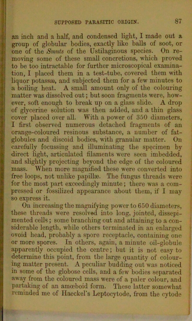 an inch and a half, and condensed light, I made out a group of globular bodies, exactly like balls of soot, or one of the Smuts of the Ustilaginous species. On re- moving some of these small concretions, which proved to be too intractable for further microscopical examina- tion, I placed them in a test-tube, covered them with liquor potassaj, and subjected them for a few minutes to a boiling heat. A small amount only of the colouring matter was dissolved out; but soon fragments were, how- ever, soft enough to break up on a glass slide. A drop of glycerine solution was then added, and a thin glass cover placed over all. With a power of 350 diameters, I first observed numerous detached fragments of an orange-coloured resinous substance, a number of fat- globules and discoid bodies, with granular matter. On carefully focussing and illuminating the specimen by direct light, articulated filaments were seen imbedded, and slightly projecting beyond the edge of the coloured mass. When more magnified these were converted into free loops, not unlike papillae. The fungus threads were for the most part exceedingly minute; there was a com- pressed or fossilized appearance about them, if I may so express it. On increasing the magnifying power to 650 diameters, these threads were resolved into long, jointed, dissepi- mented cells; some branching out and attaining to a con- siderable length, while others terminated in an enlarged ovoid head, probably a spore receptacle, containing one or more spores. In others, again, a minute oil-globule apparently occupied the centre; but it is not easy to determine this point, from the large quantity of colour- ing matter present. A peculiar budding out was noticed in some of the globose cells, and a few bodies separated away from the coloured mass were of a paler colour, and partaking of an amoeboid form. These latter somewhat reminded me of Haeckel’s Leptocytode, from the cytode