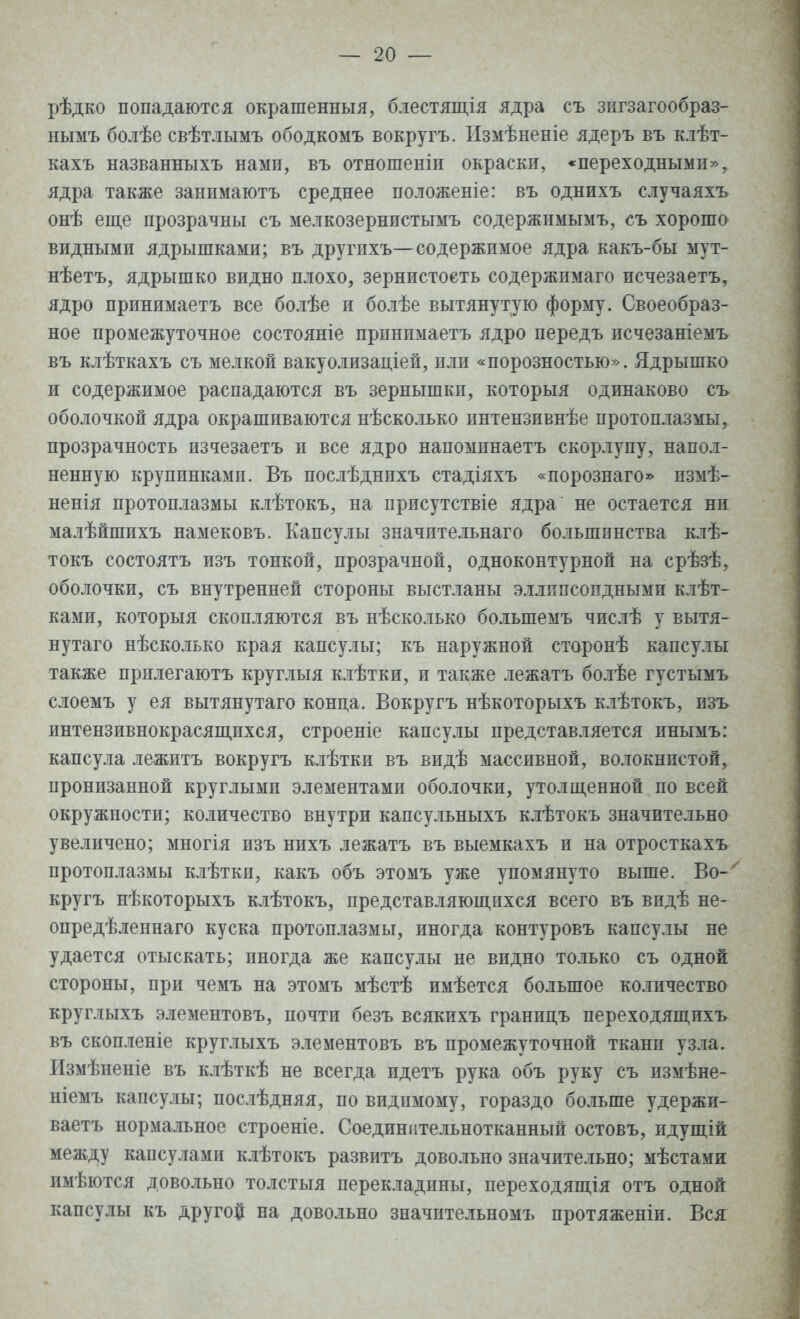 рѣдко попадаются окрашенныя, блестящія ядра съ зигзагообраз- нымъ болѣе свѣтлымъ ободкомъ вокругъ. Измѣненіе ядеръ въ клѣт- кахъ названныхъ нами, въ отношеніи окраски, «переходными», ядра также занимаютъ среднее положеніе: въ однихъ случаяхъ онѣ еще прозрачны съ мелкозернистымъ содержимымъ, съ хорошо видными ядрышками; въ другихъ—содержимое ядра какъ-бы мут- нѣетъ, ядрышко видно плохо, зернистость содержимаго исчезаетъ, ядро принимаетъ все болѣе и болѣе вытянутую форму. Своеобраз- ное промежуточное состояніе прпнпмаетъ ядро передъ исчезаніемъ въ клѣткахъ съ мелкой вакуолизаціей, или «порозностью». Ядрышко и содержимое распадаются въ зернышки, которыя одинаково съ оболочкой ядра окрашиваются нѣсколько интензивнѣе протоплазмы, прозрачность пзчезаетъ и все ядро напоминаетъ скорлупу, напол- ненную крупинками. Въ послѣднихъ стадіяхъ «порознаго» пзмѣ- ненія протоплазмы клѣтокъ, на присутствіе ядра не остается нп малѣйшихъ намековъ. Капсулы значительна™ большинства клѣ- токъ состоять изъ тонкой, прозрачной, одноконтурной на срѣзѣ, оболочки, съ внутренней стороны выстланы эллипсоидными клѣт- ками, которыя скопляются въ нѣсколько болыпемъ числѣ у вытя- нутаго нѣсколько края капсулы; къ наружной сторонѣ капсулы также прплегаютъ круглыя клѣтки, и также лежатъ болѣе густымъ слоемъ у ея вытянутаго конца. Вокругъ нѣкоторыхъ клѣтокъ, изъ интензивнокрасящихся, строеніе капсулы представляется инымъ: капсула лежитъ вокругъ клѣтки въ видѣ массивной, волокнистой, пронизанной круглыми элементами оболочки, утолщенной по всей окружности; количество внутри капсульныхъ клѣтокъ значительно увеличено; многія изъ нихъ лежатъ въ выемкахъ и на отросткахъ протоплазмы клѣткп, какъ объ этомъ уже упомянуто выше. Во-' кругъ нѣкоторыхъ клѣтокъ, представляющихся всего въ впдѣ не- опредѣленнаго куска протоплазмы, иногда контуровъ капсулы не удается отыскать; иногда же капсулы не видно только съ одной стороны, при чемъ на этомъ мѣстѣ имѣется большое количество круглыхъ элементовъ, почти безъ всякихъ границъ переходящихъ въ скопленіе круглыхъ элементовъ въ промежуточной ткани узла. Измѣненіе въ клѣткѣ не всегда идетъ рука объ руку съ измѣне- ніемъ капсулы; послѣдняя, по видимому, гораздо больше удержи- ваетъ нормальное строеніе. Соединительнотканный остовъ, идущій между капсулами клѣтокъ развитъ довольно значительно; мѣстами имѣются довольно толстыя перекладины, переходящія отъ одной капсулы къ другой на довольно значительномъ протяженіи. Вся
