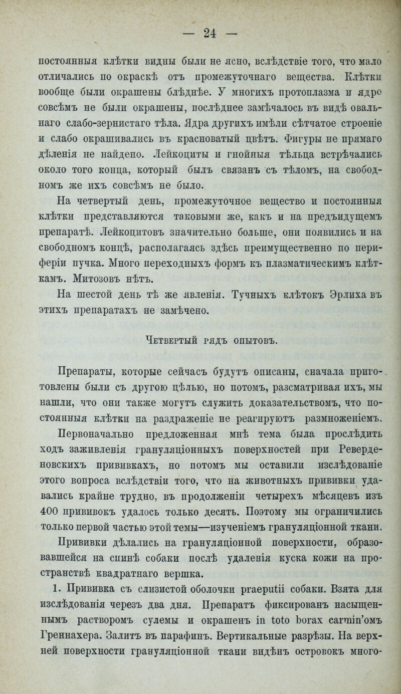 постоянныя клѣтки видны были не ясно, вслѣдствіе того, что мало отличались по окраскѣ отъ промежуточна™ вещества. Клѣтки вообще были окрашены блѣднѣе. У многихъ протоплазма и ядро совсѣмъ не были окрашены, послѣднее замѣчалось въ видѣ оваль- наго слабо-зернистаго тѣла. Ядра другихъ имѣли сѣтчатое строеніе и слабо окрашивались въ красноватый цвѣтъ. Фигуры не прямаго дѣленія не найдено. Лейкоциты и гнойныя тѣльца встрѣчались около того конца, который быль связанъ съ тѣломъ, на свобод- номъ же ихъ совсѣмъ не было. На четвертый день, промежуточное вещество и постоянныя клѣтки представляются таковыми же, какъ и на предъидущемъ препаратѣ. Лейкоцитовъ значительно больше, они появились и на свободномъ концѣ, располагаясь здѣсь преимущественно по пери- ферия пучка. Много переходныхъ формъ къ плазматическимъ клѣт- камъ. Митозовъ нѣтъ. На шестой день тѣ же явленія. Тучныхъ клѣтокъ Эр лиха въ этихъ препаратахъ не замѣчено. Четвегтый рядъ опытовъ. Препараты, которые сейчасъ будутъ описаны, сначала приго- товлены были съ другою цѣлью, но потомъ, разсматривая ихъ, мы нашли, что они также могутъ служить доказательствомъ, что по- стоянныя клѣтки на раздраженіе не реагируютъ размноженіемъ. Первоначально предложенная мнѣ тема была прослѣдить ходъ заживленія грануляціонныхъ поверхностей при Реверде- новскихъ прививкахъ, но потомъ мы оставили изслѣдованіе этого вопроса вслѣдствіи того, что на животныхъ прививки уда- вались крайне трудно, въ продолженіи четырехъ мѣсяцевъ изъ 400 прививокъ удалось только десять. Поэтому мы ограничились только первой частью этой темы—изученіемъ грануляціонной ткани. Прививки дѣлались на грануляціонной поверхности, образо- вавшейся на спинѣ собаки послѣ удаленія куска кожи на про- странствѣ квадратнаго вершка. 1. Прививка съ слизистой оболочки ргаериШ собаки. Взята для изслѣдованія черезъ два дня. Препаратъ фиксированъ насыщен- нымъ растворомъ сулемы и окрашенъ іп Іхгіо Ъогах сапшп'омъ Греннахера. Залить въ парафинъ. Вертикальные разрѣзы. На верх- ней поверхности грануляціонной ткани видѣнъ островокъ много-